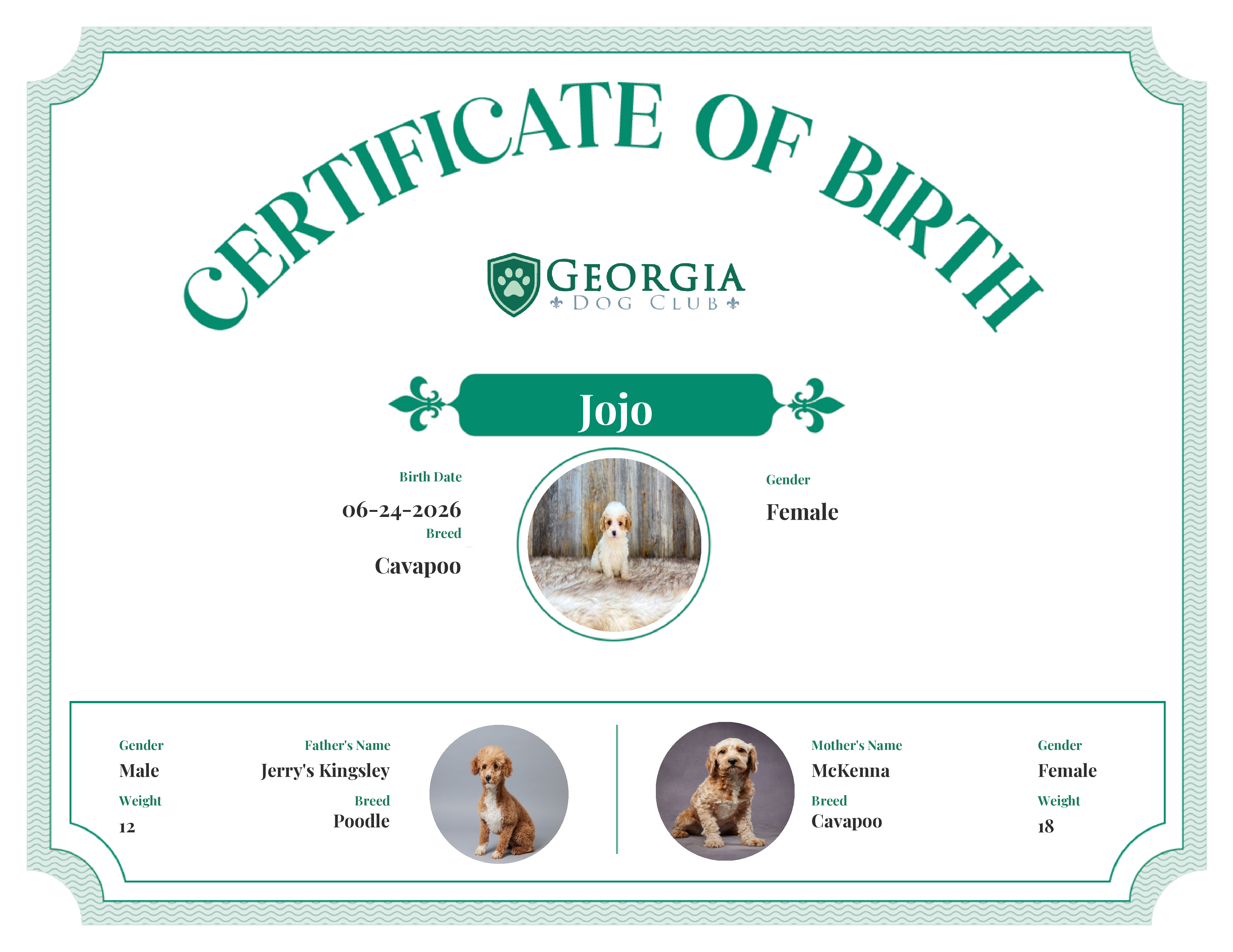 Jojo's Birth Certificate