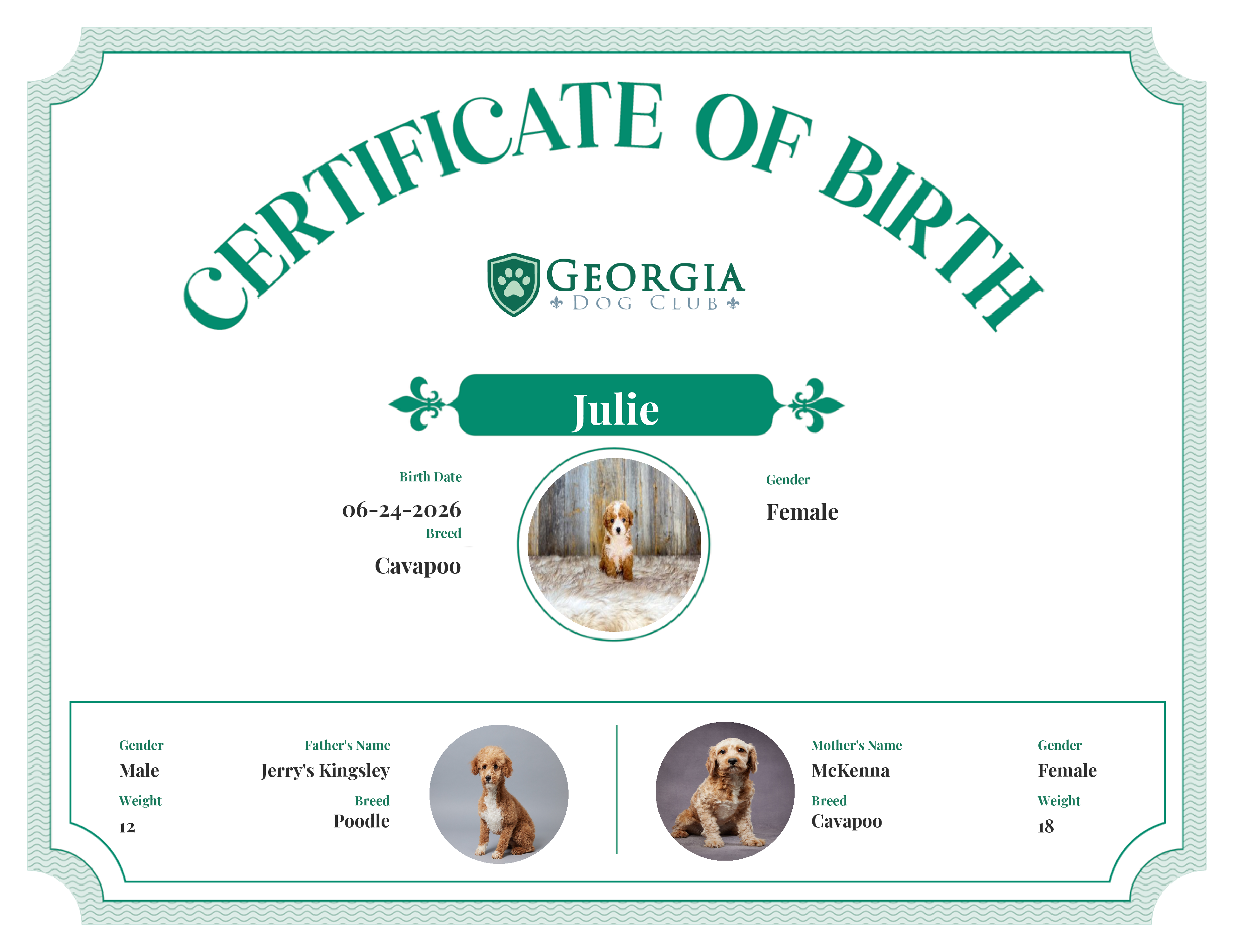 Julie's Birth Certificate
