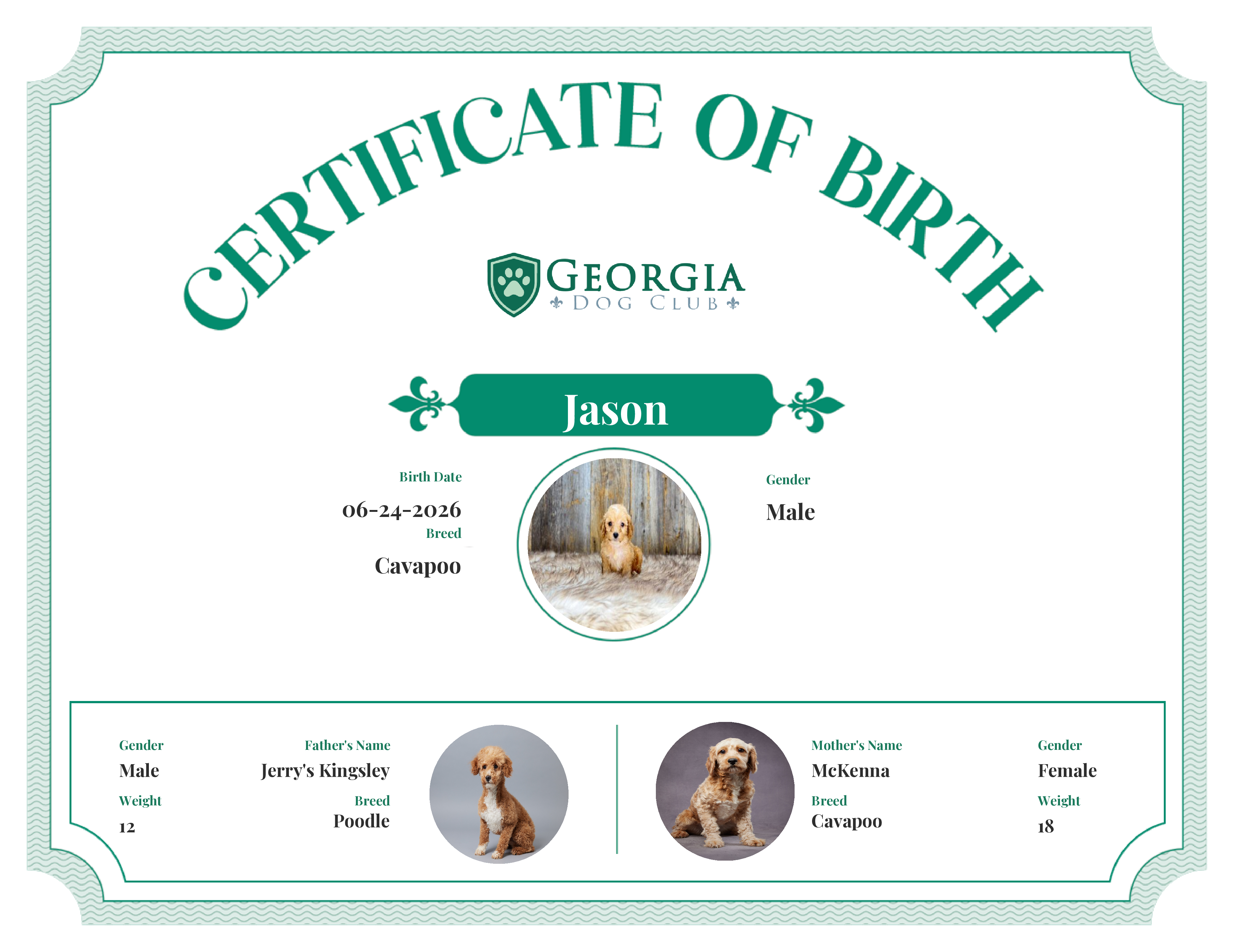Jason's Birth Certificate