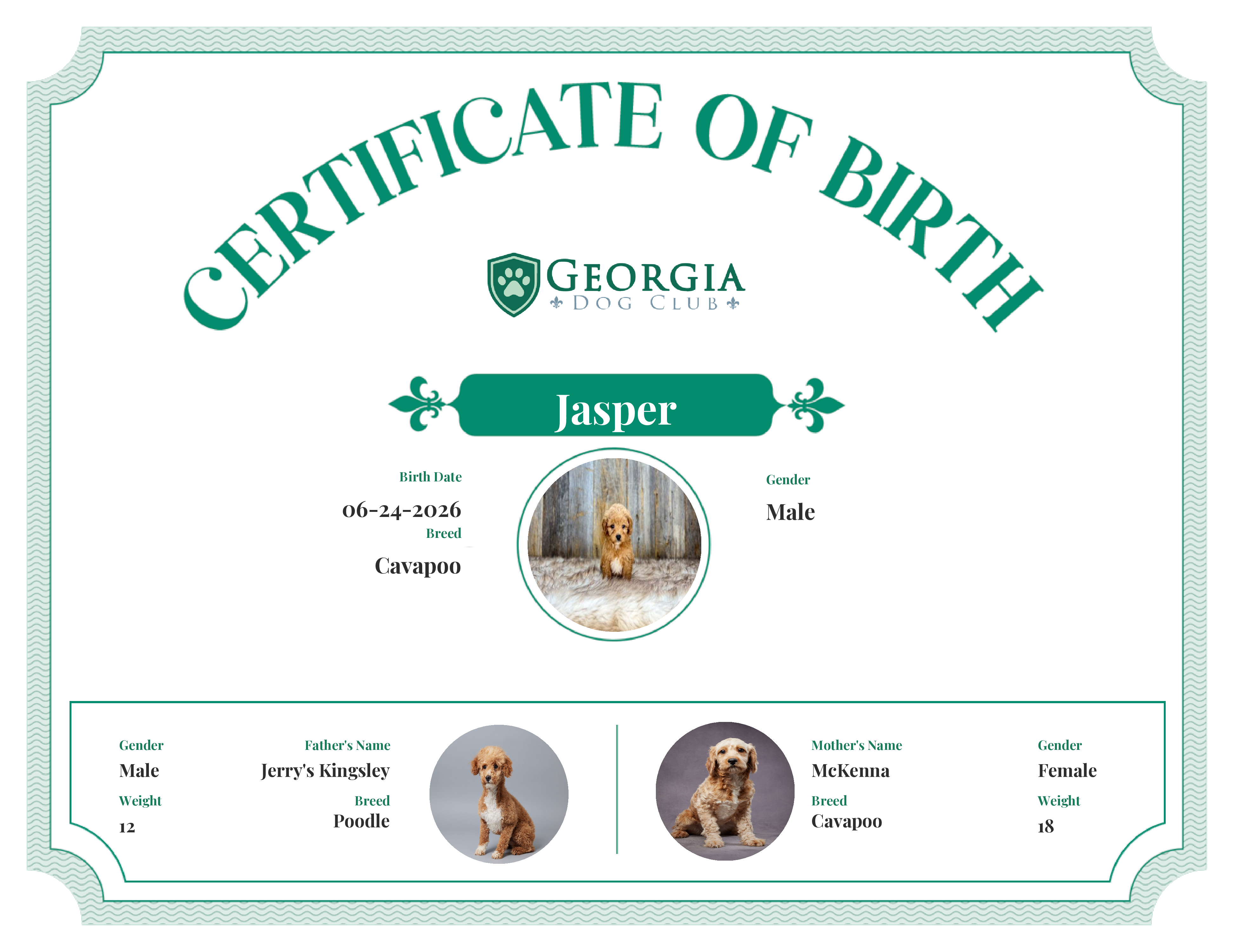 Jasper's Birth Certificate
