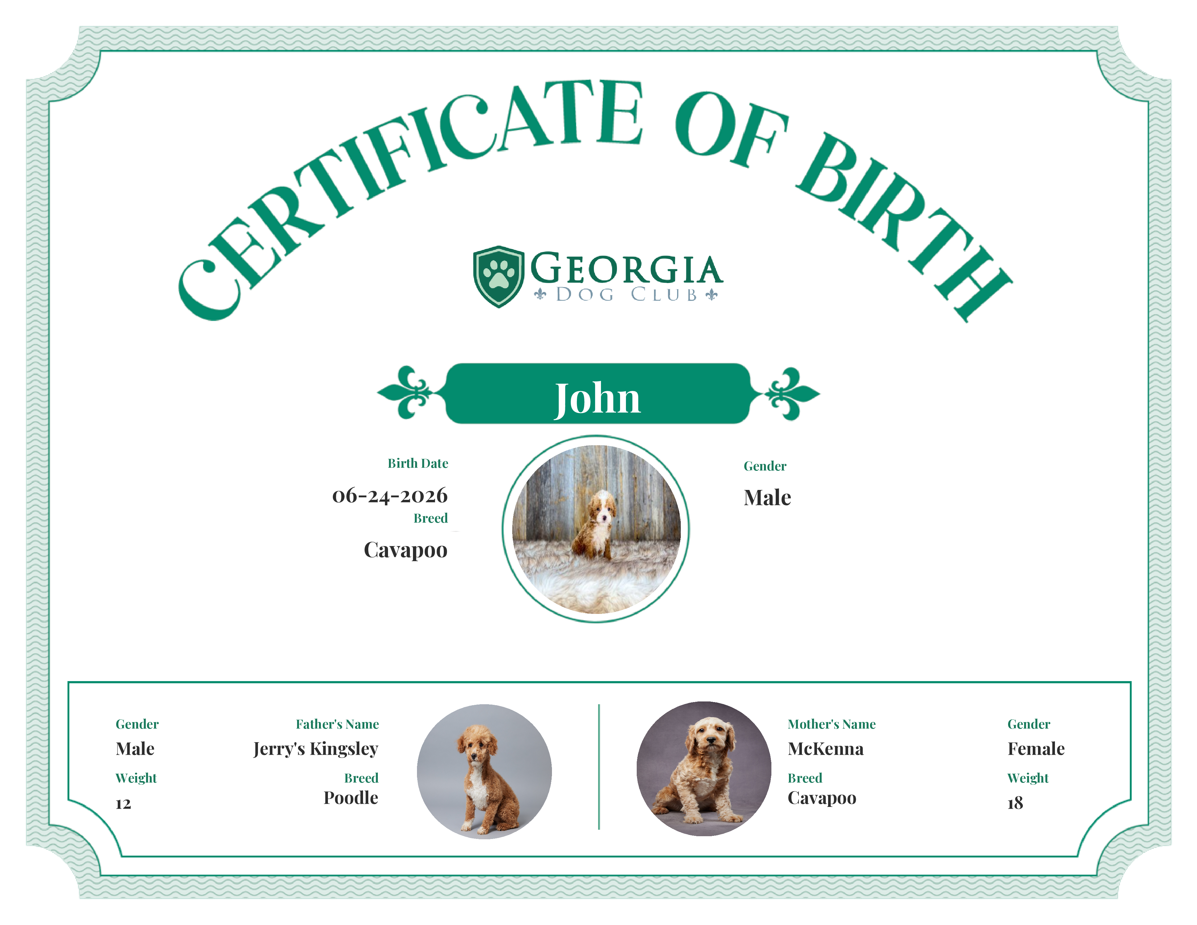 John's Birth Certificate
