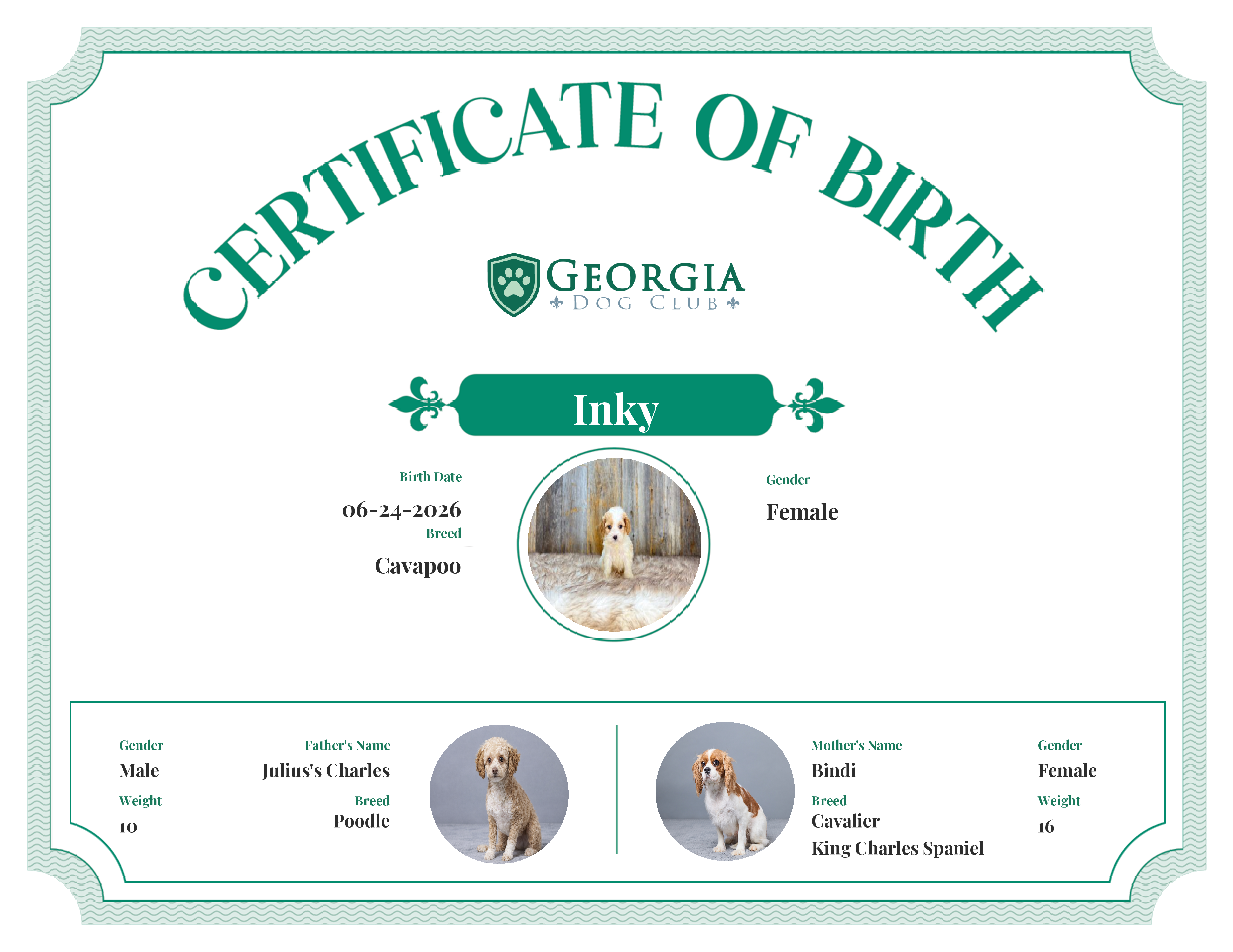 Inky's Birth Certificate