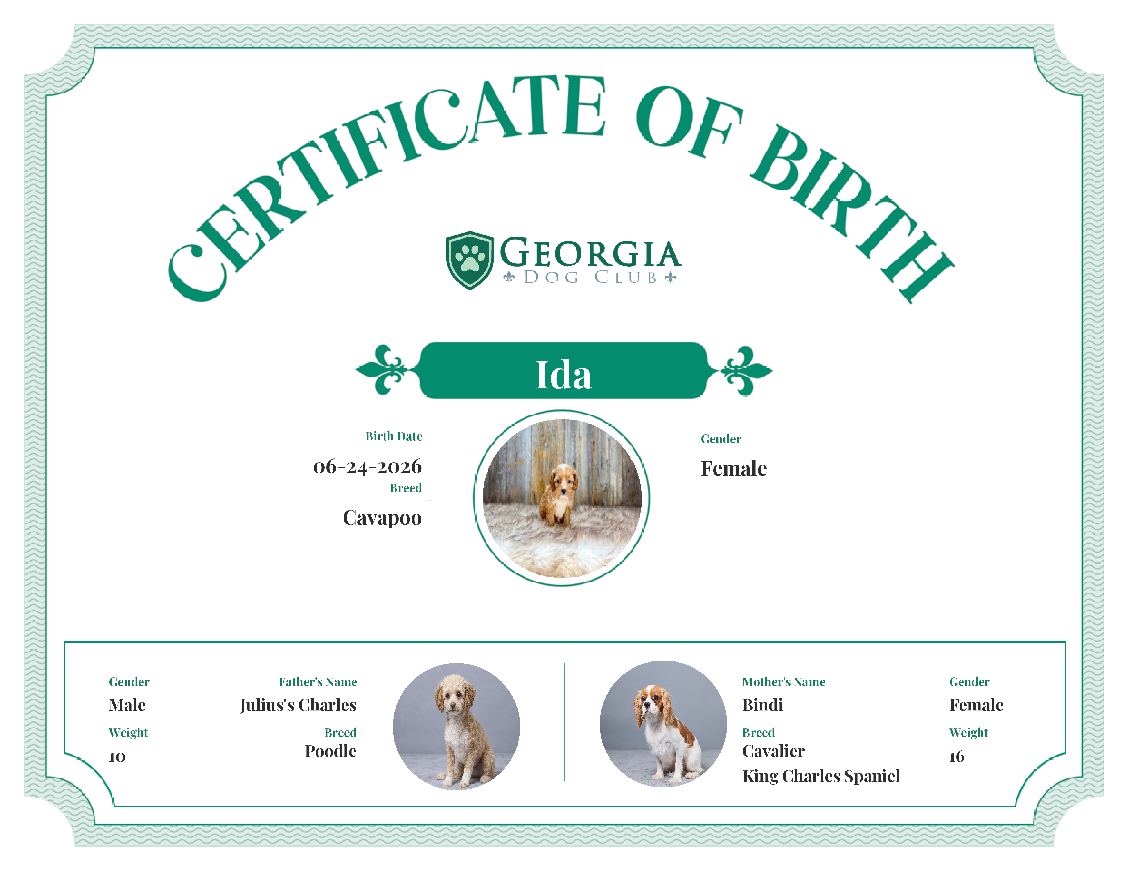Ida's Birth Certificate
