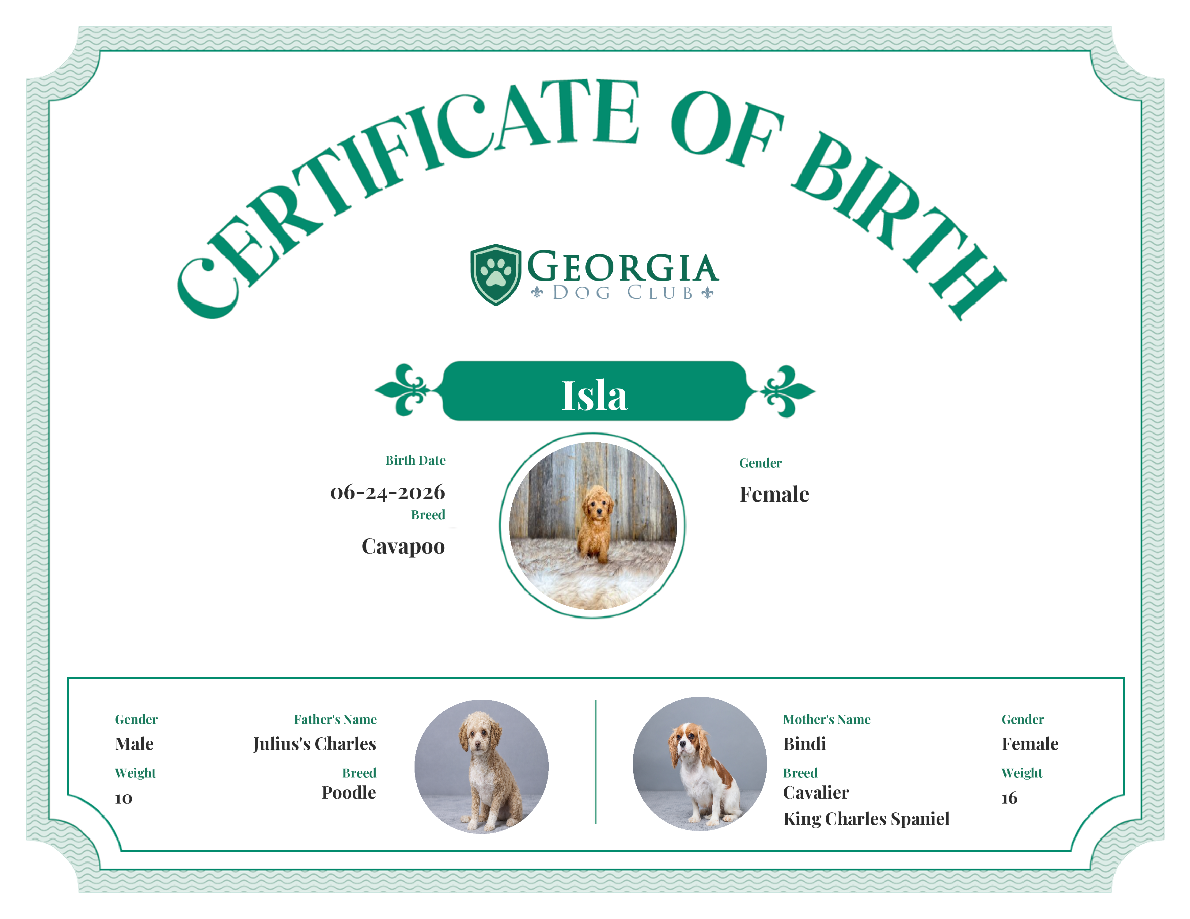 Isla's Birth Certificate