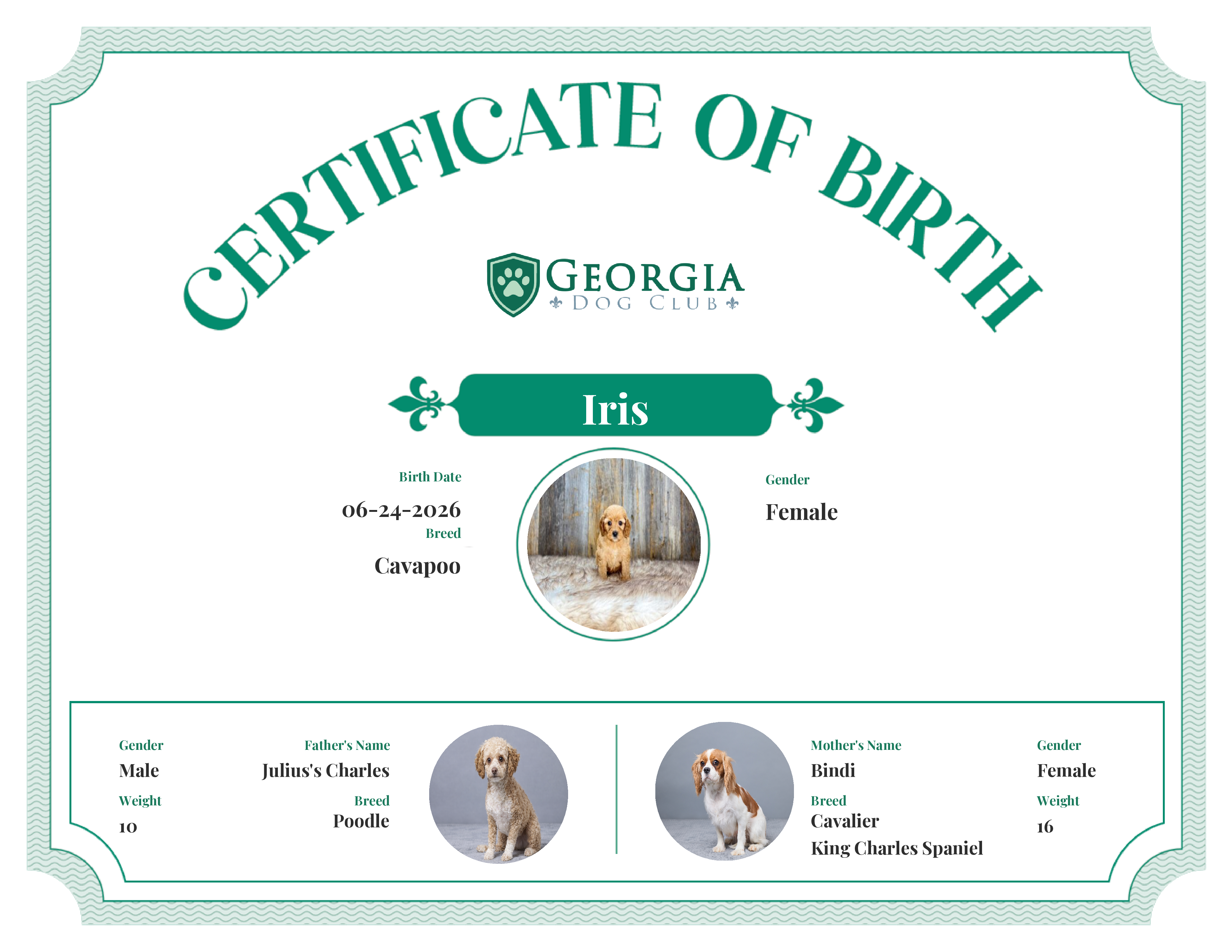 Iris's Birth Certificate