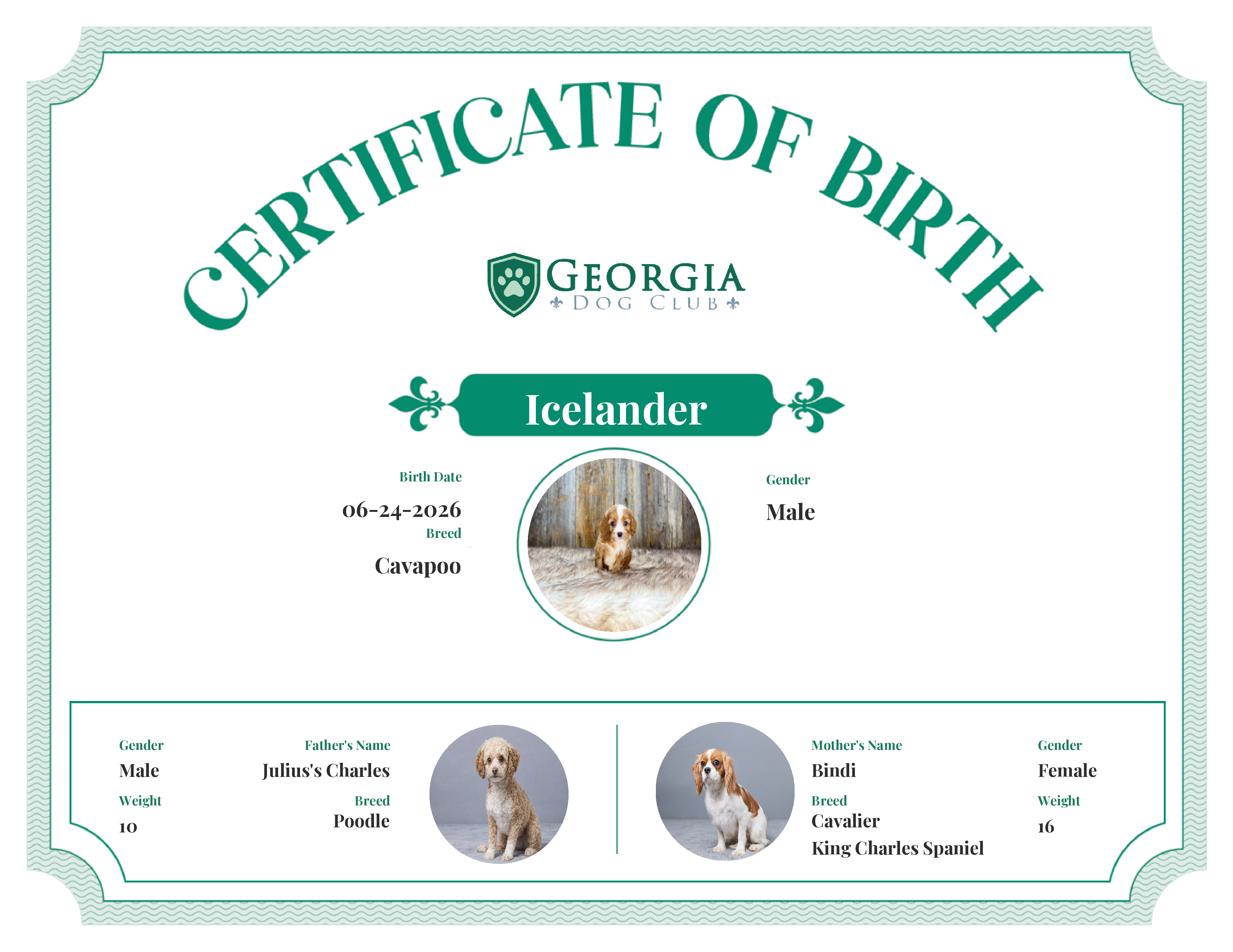 Icelander's Birth Certificate