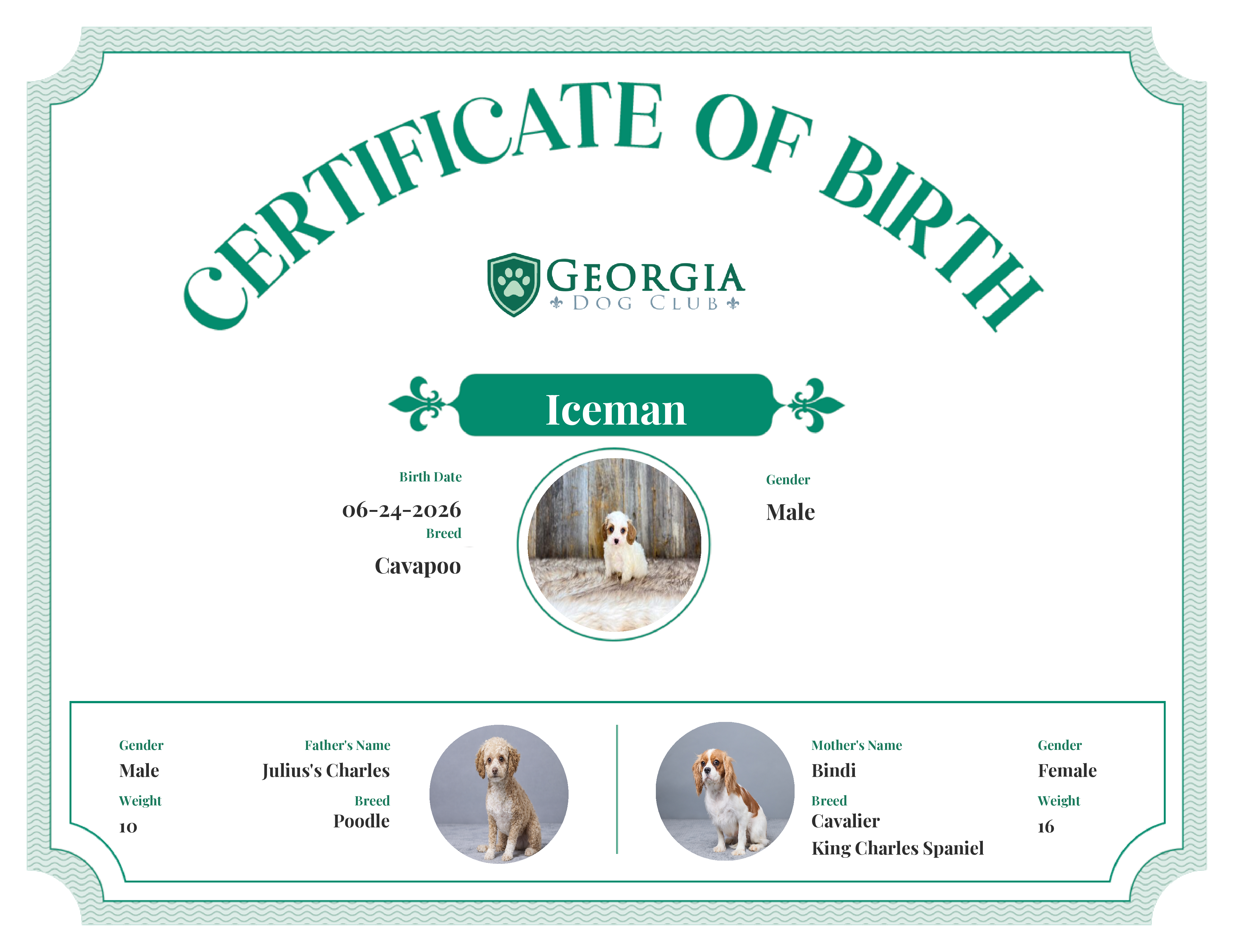 Iceman's Birth Certificate