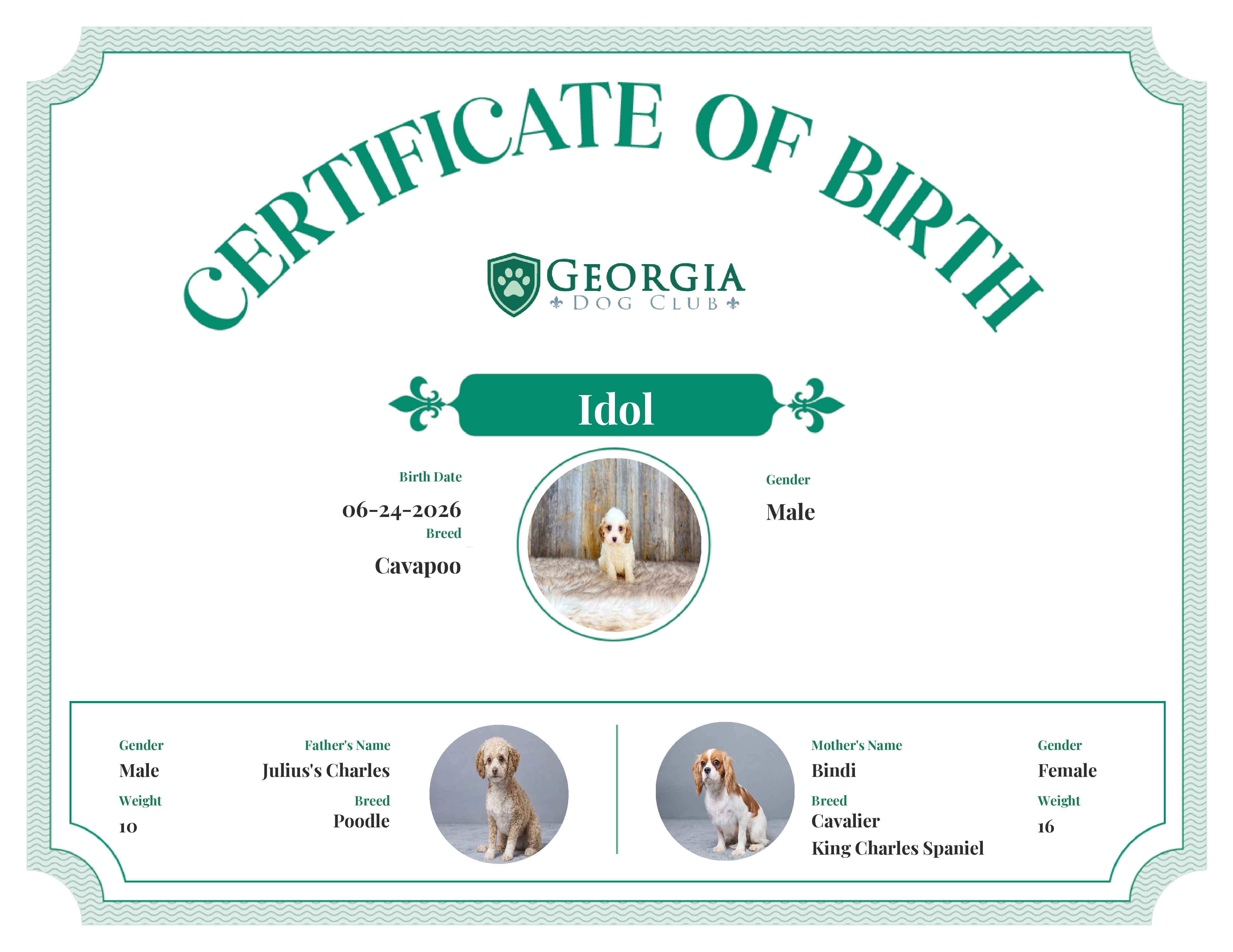 Idol's Birth Certificate