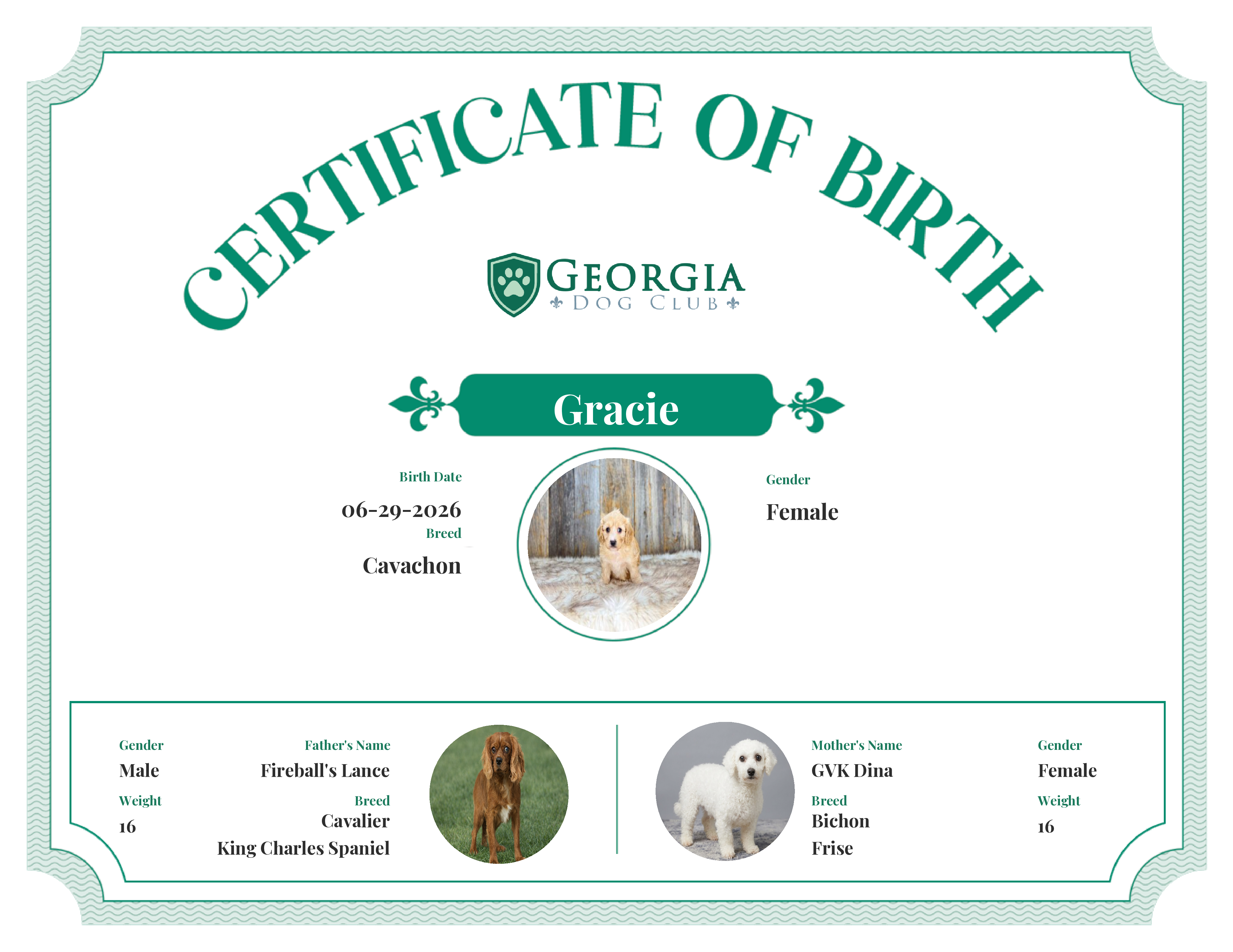 Gracie's Birth Certificate