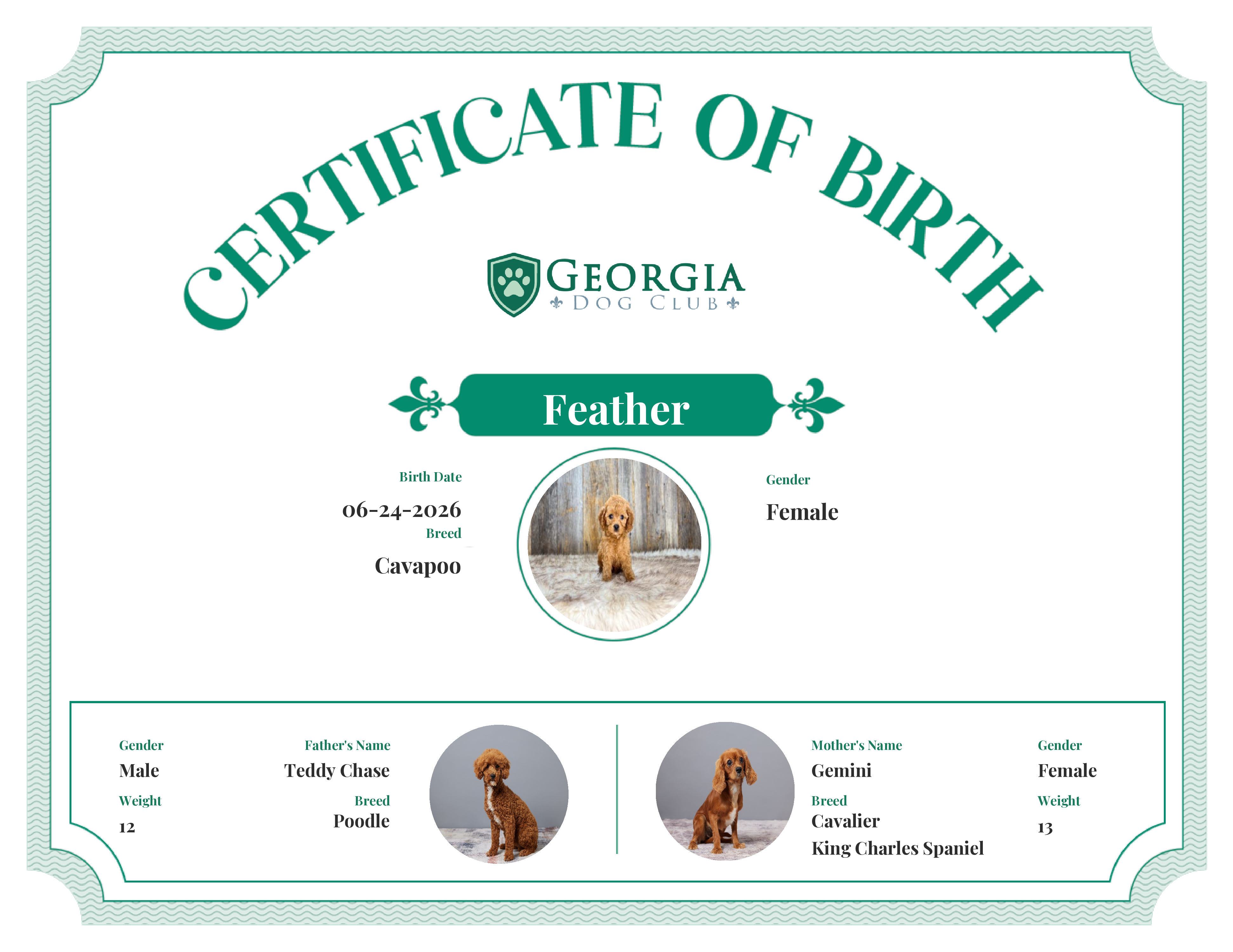 Feather's Birth Certificate