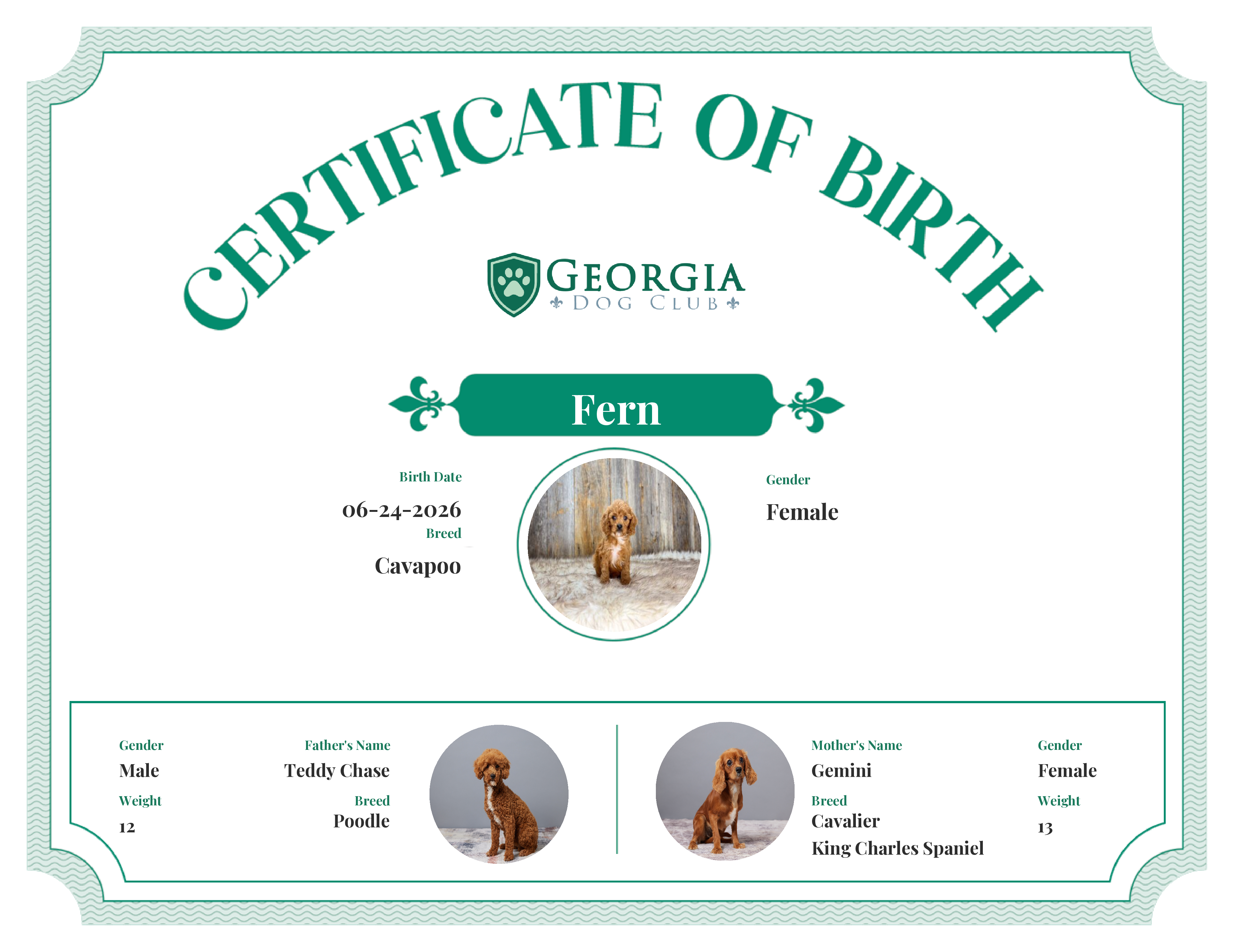 Fern's Birth Certificate