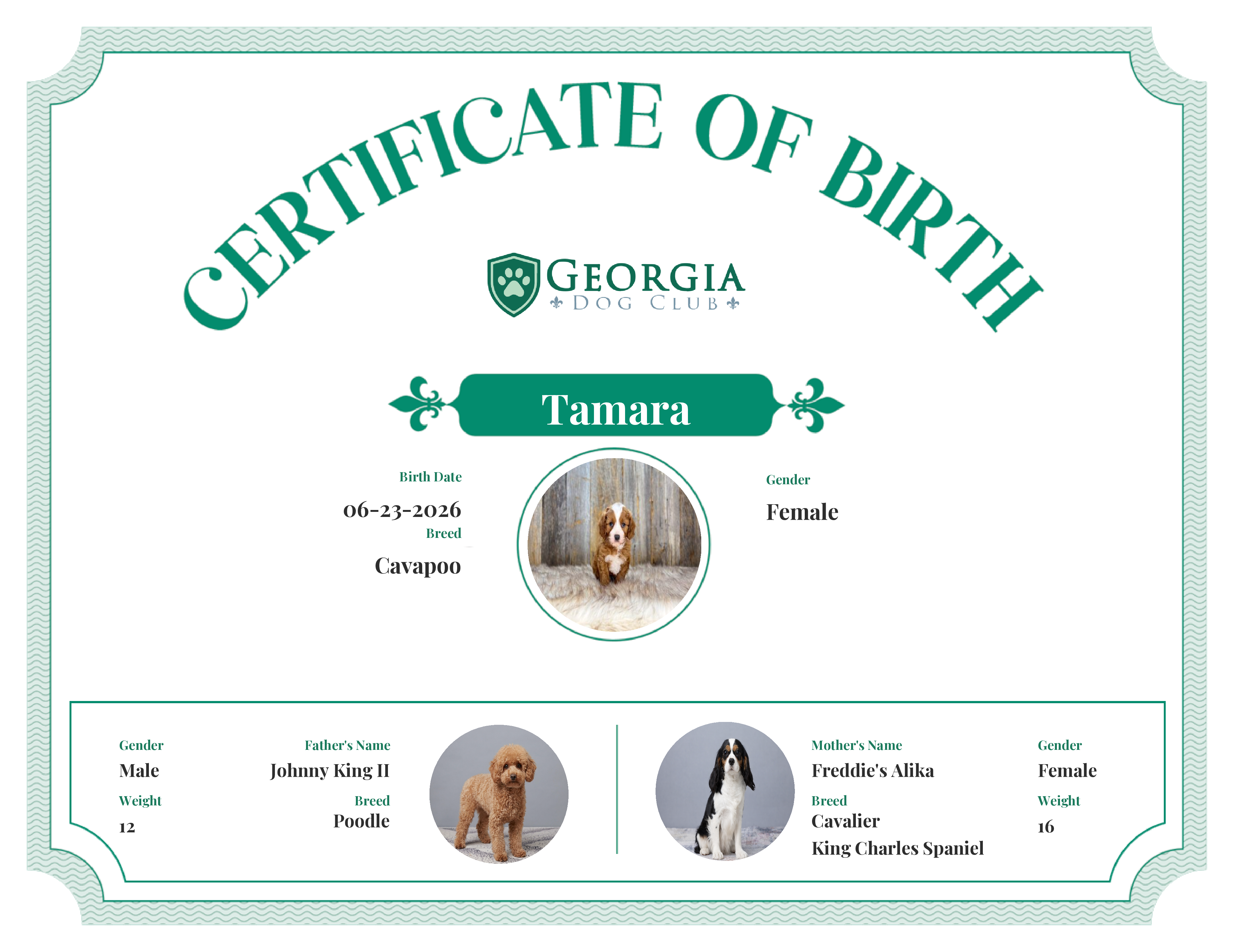 Tamara's Birth Certificate