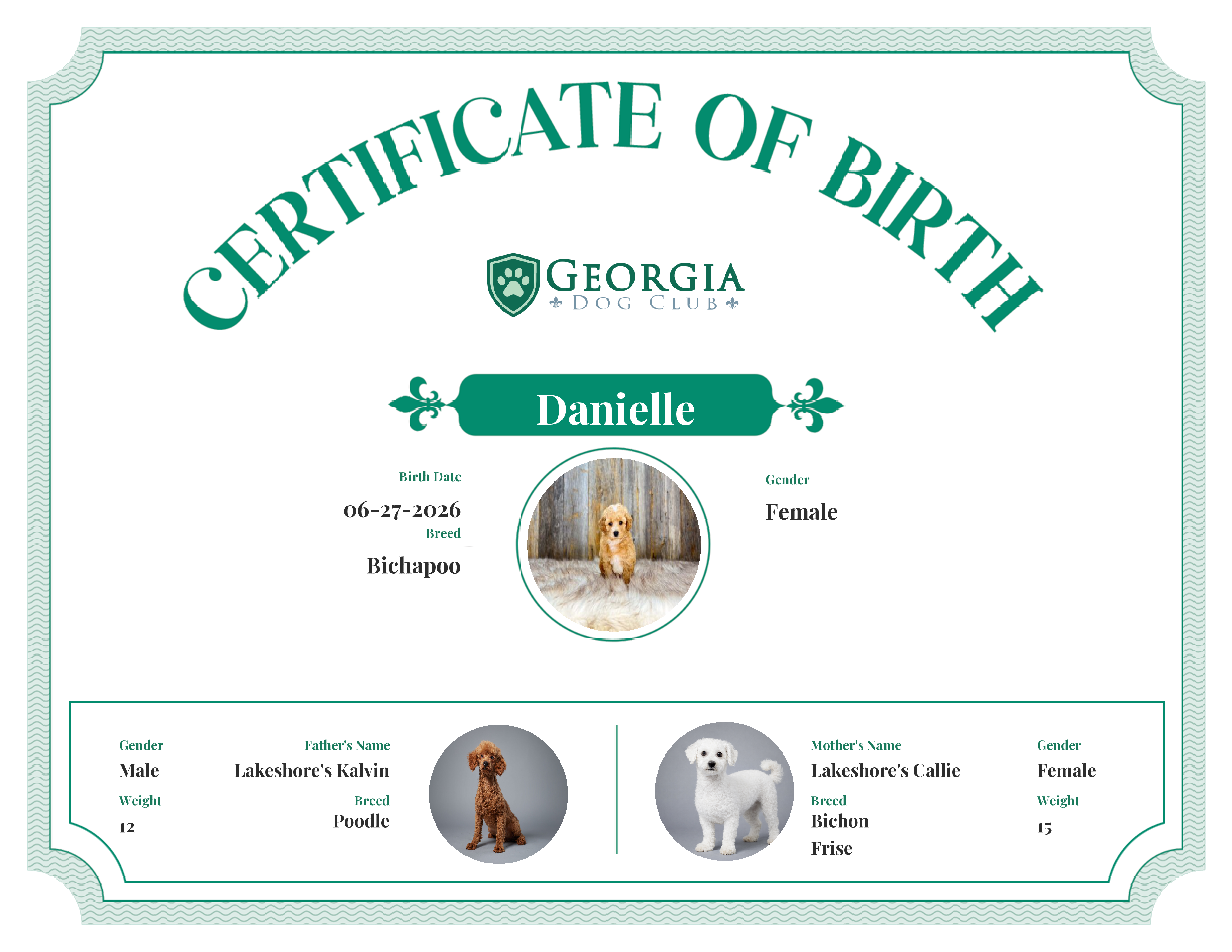 Danielle's Birth Certificate