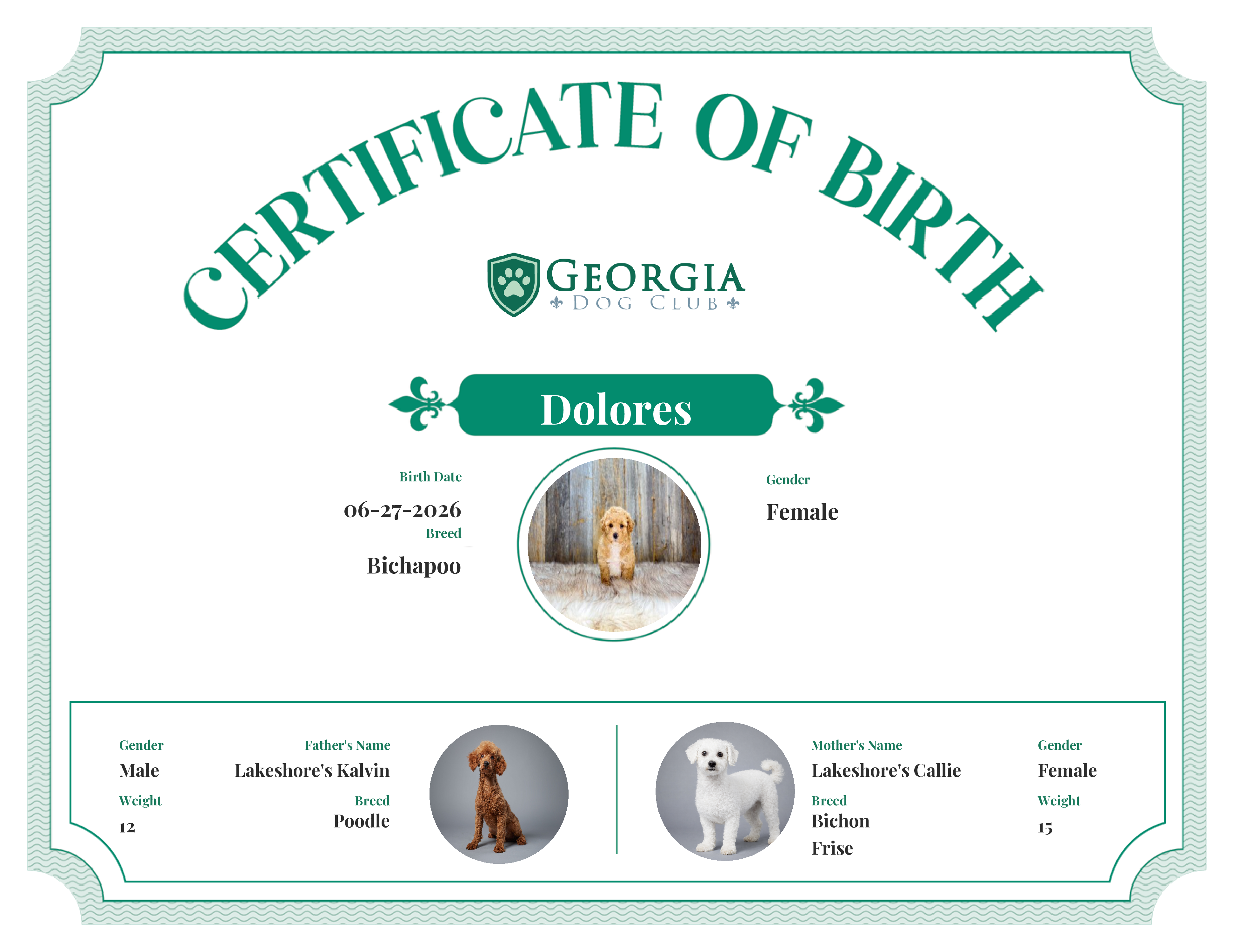 Dolores's Birth Certificate