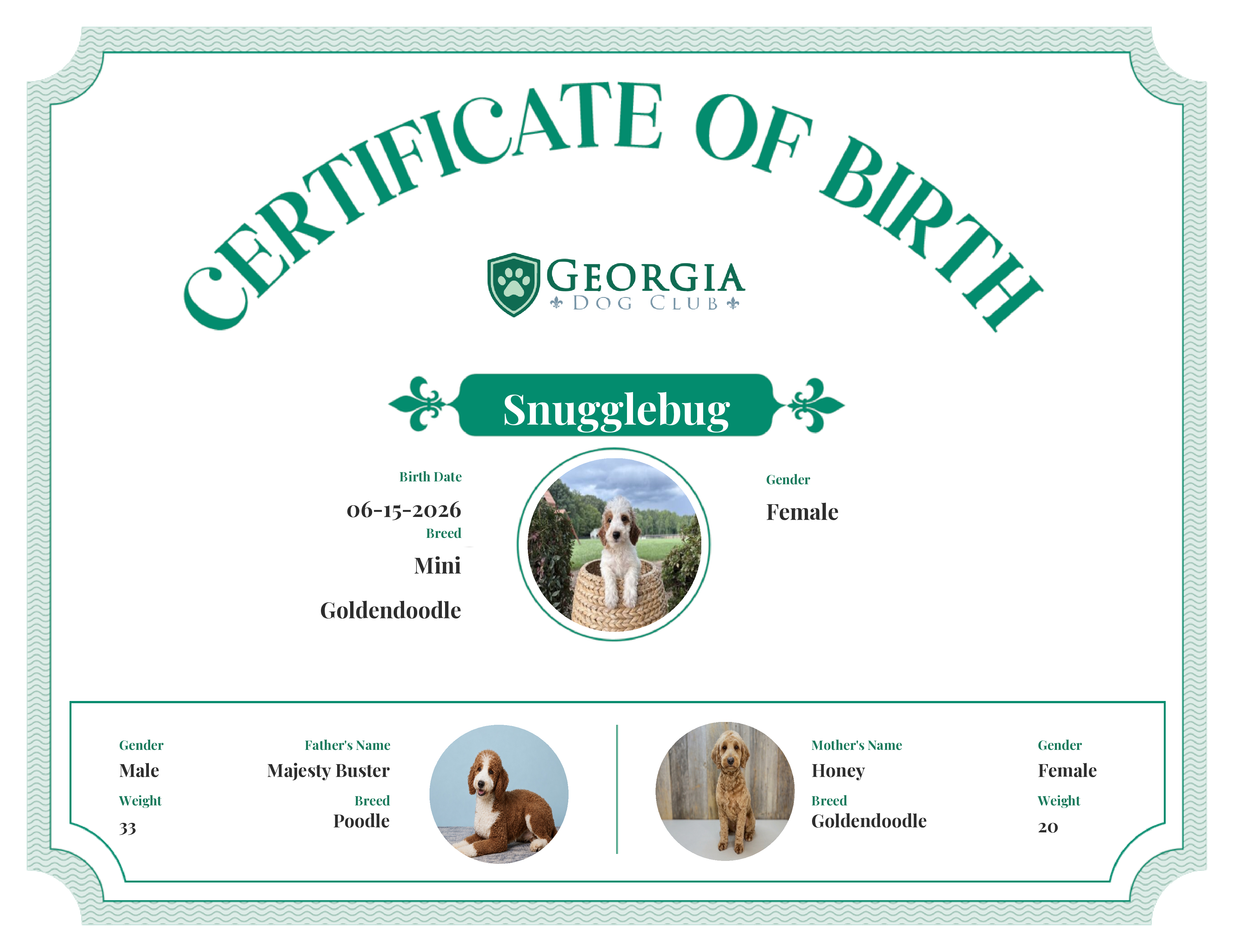 Snugglebug's Birth Certificate