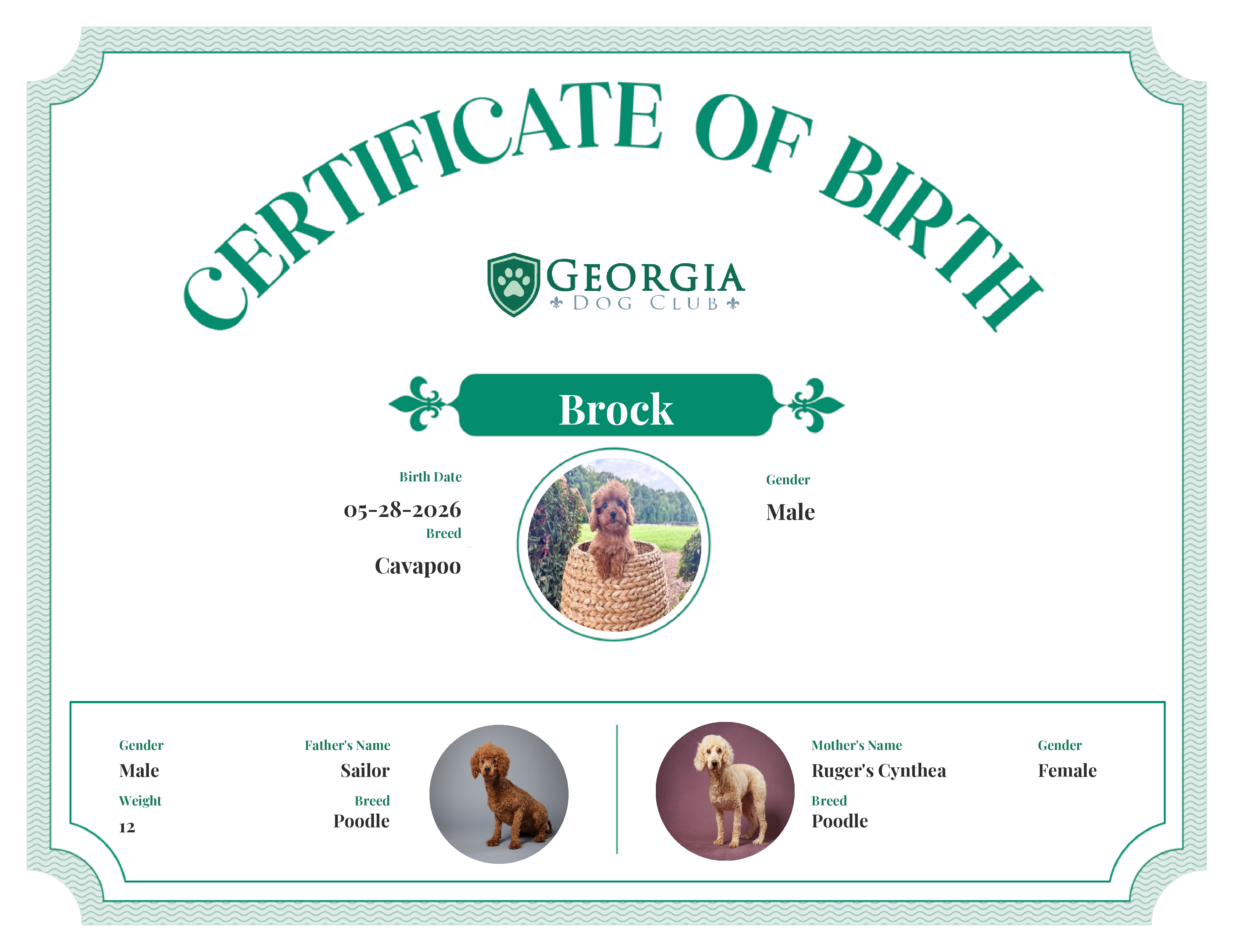 Brock's Birth Certificate