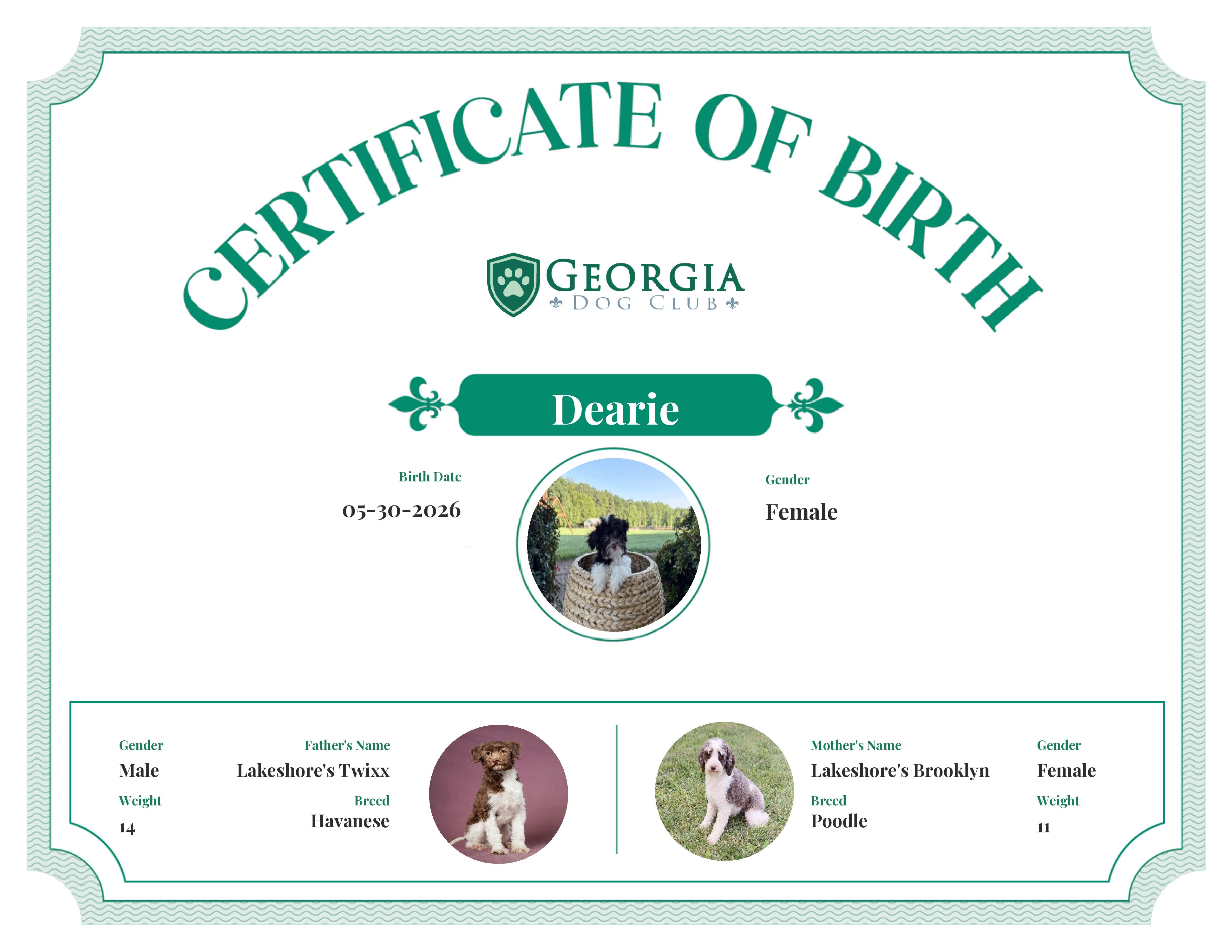 Dearie's Birth Certificate