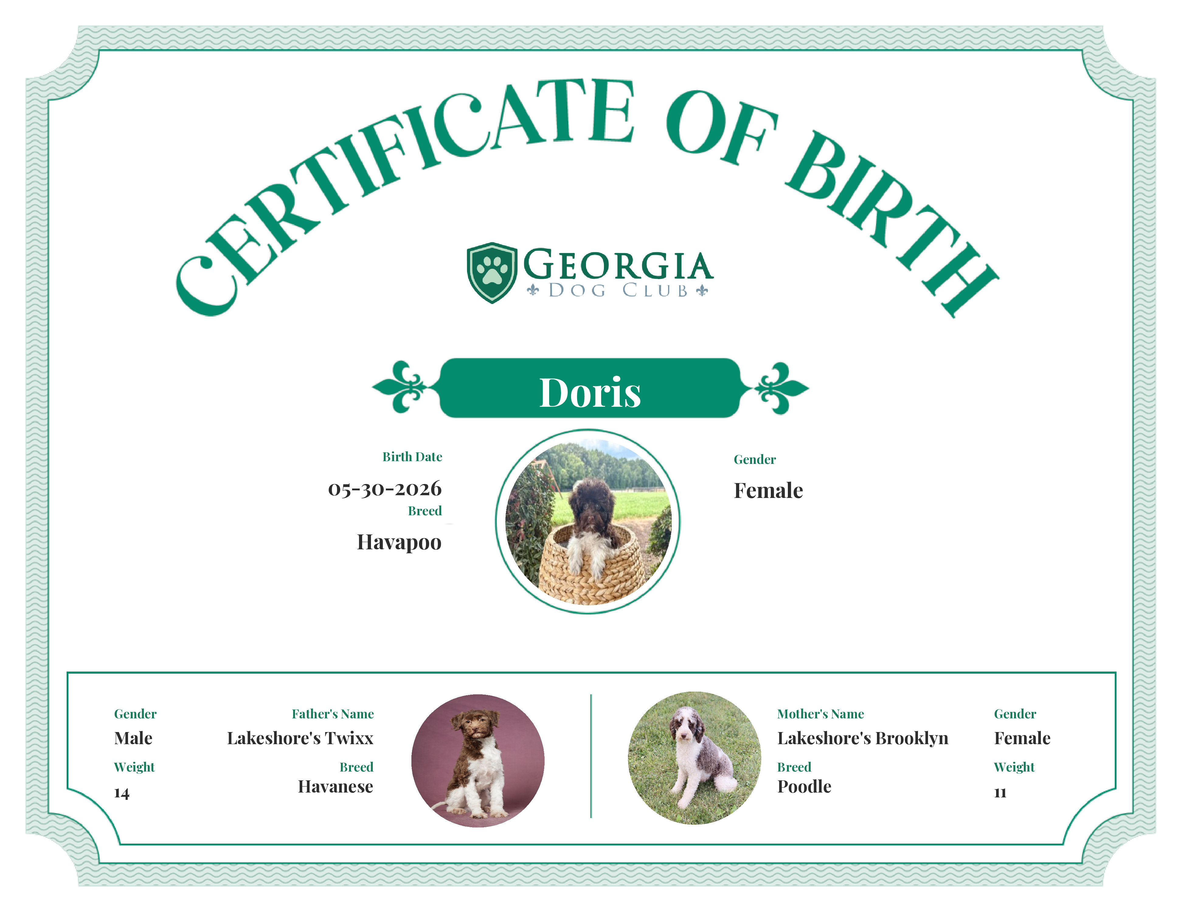Doris's Birth Certificate