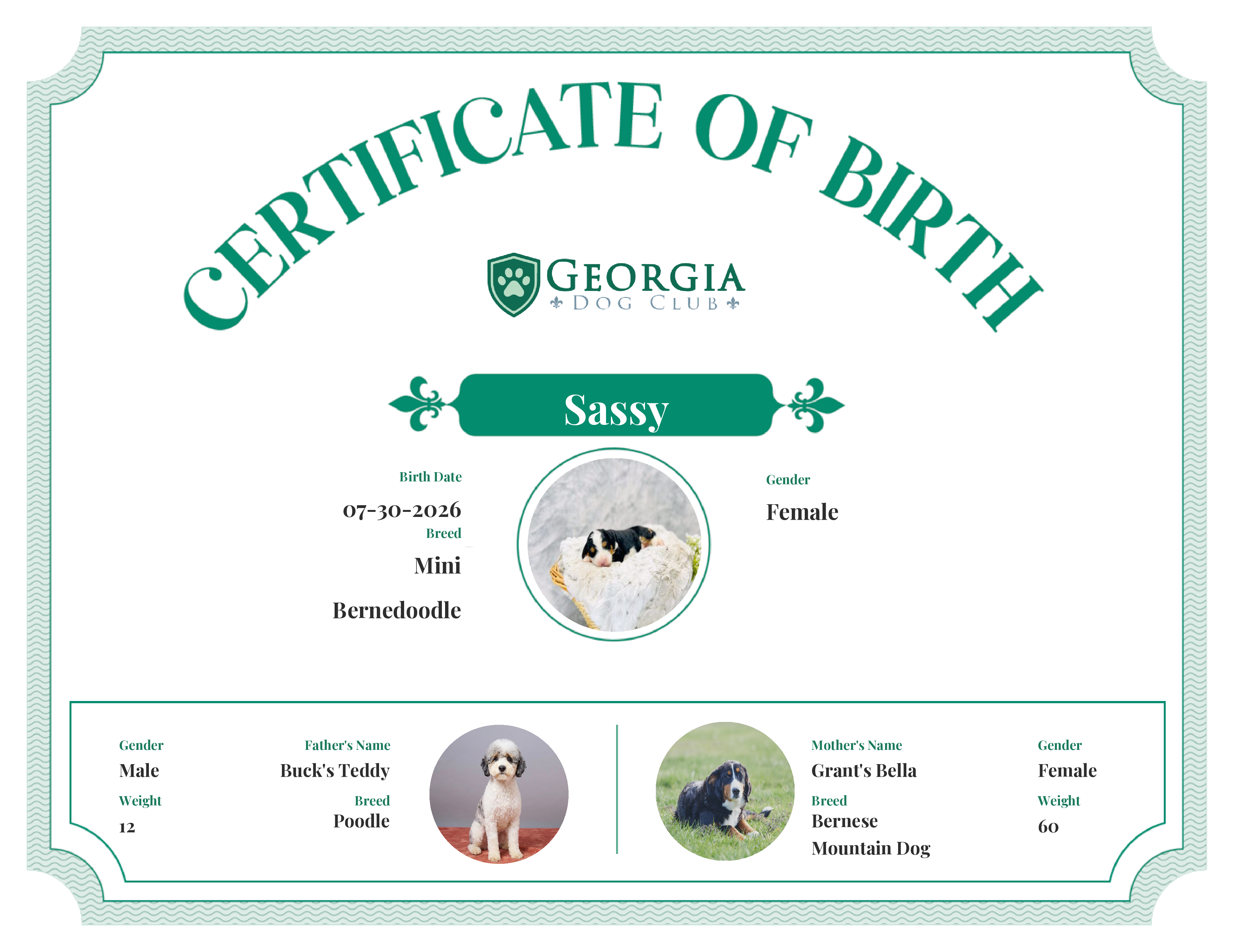 Sassy's Birth Certificate