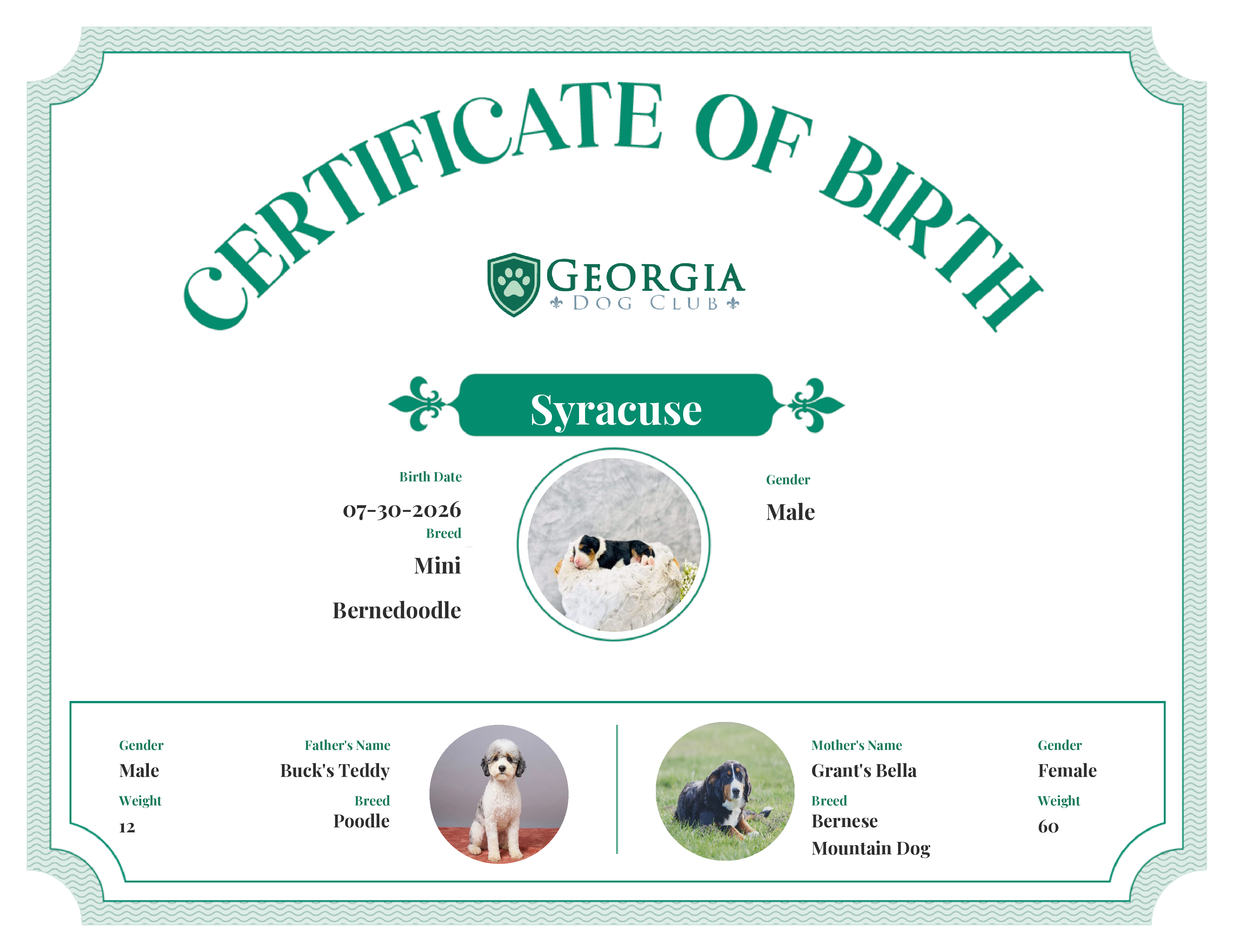 Syracuse's Birth Certificate