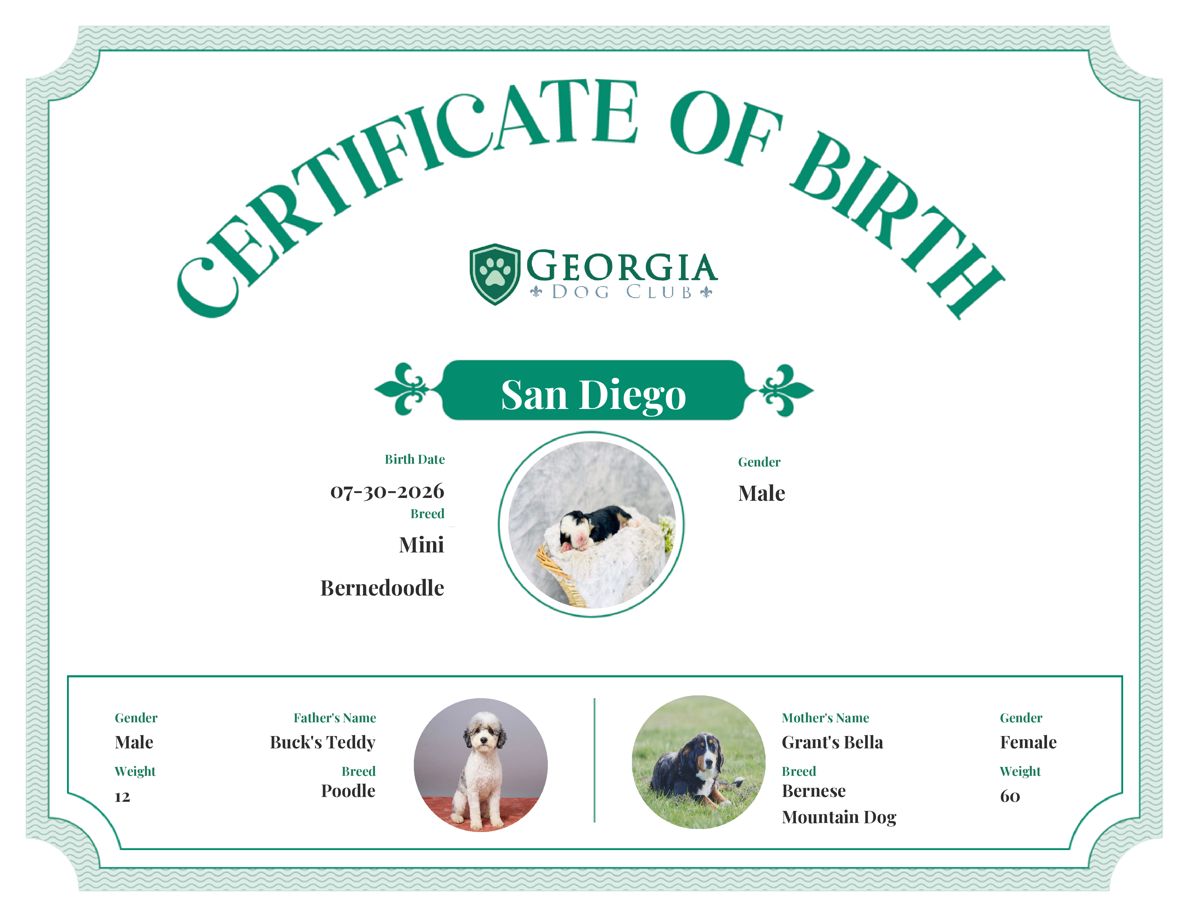 San Diego's Birth Certificate