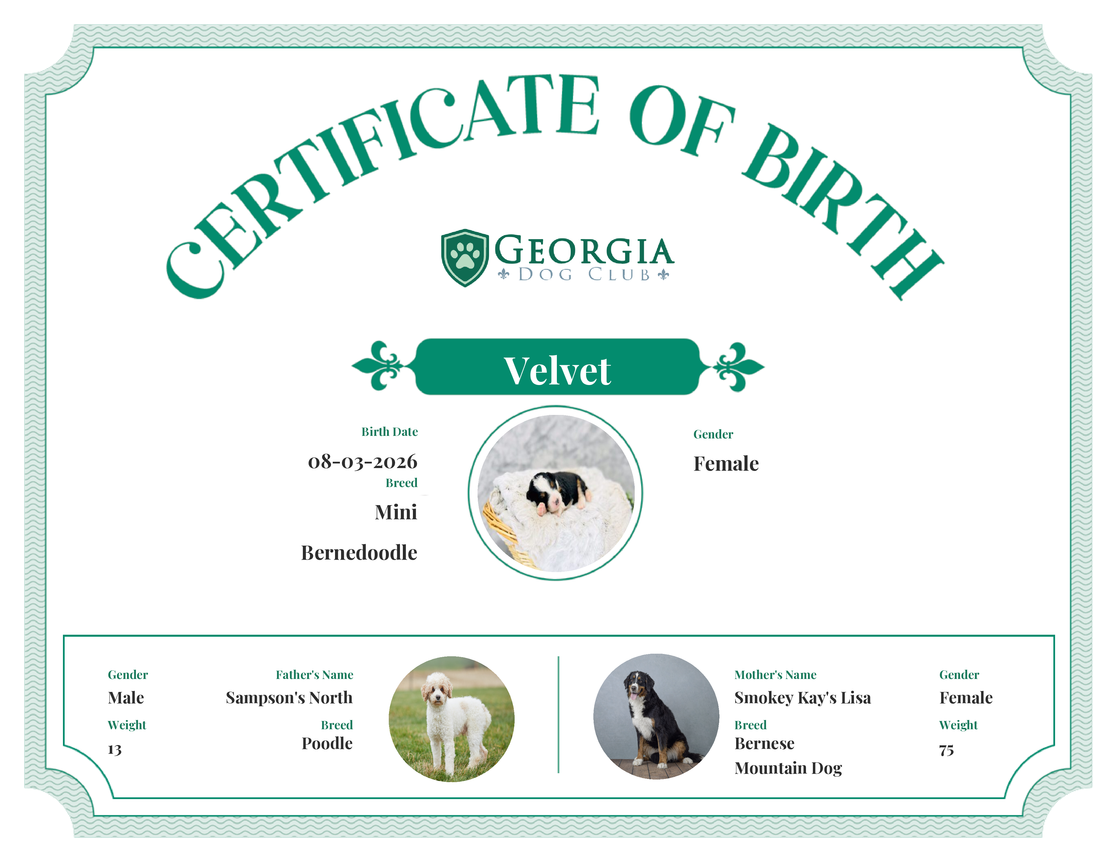 Velvet's Birth Certificate