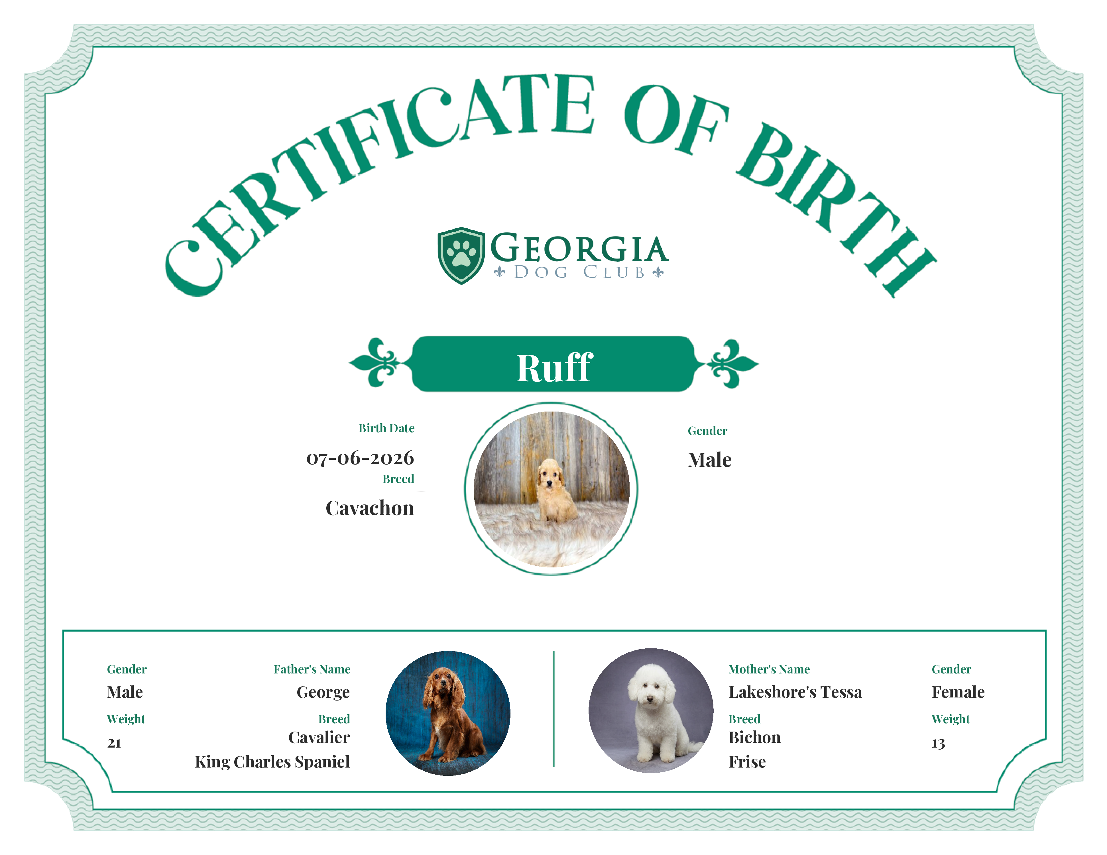 Ruff's Birth Certificate