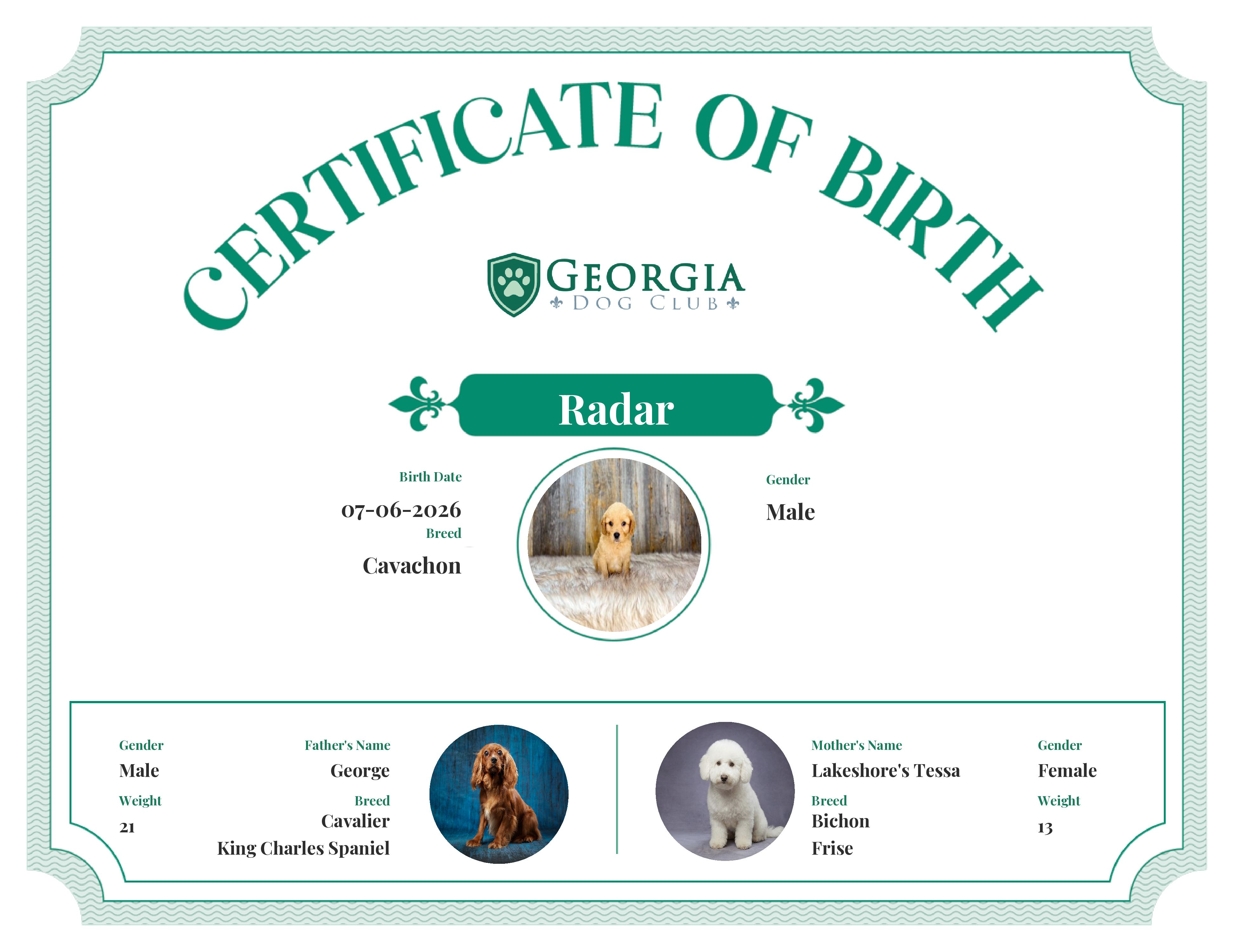 Radar's Birth Certificate