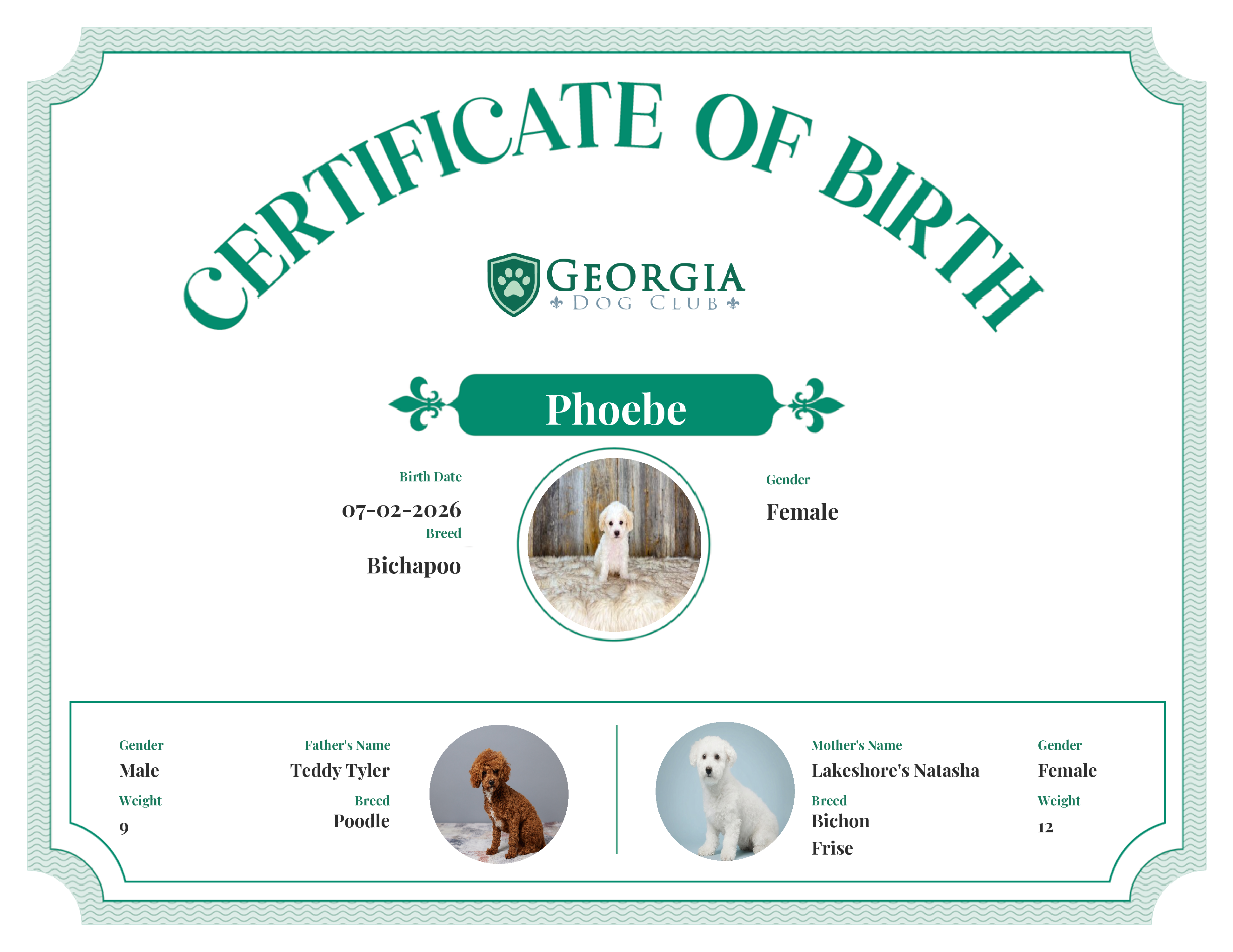 Phoebe's Birth Certificate
