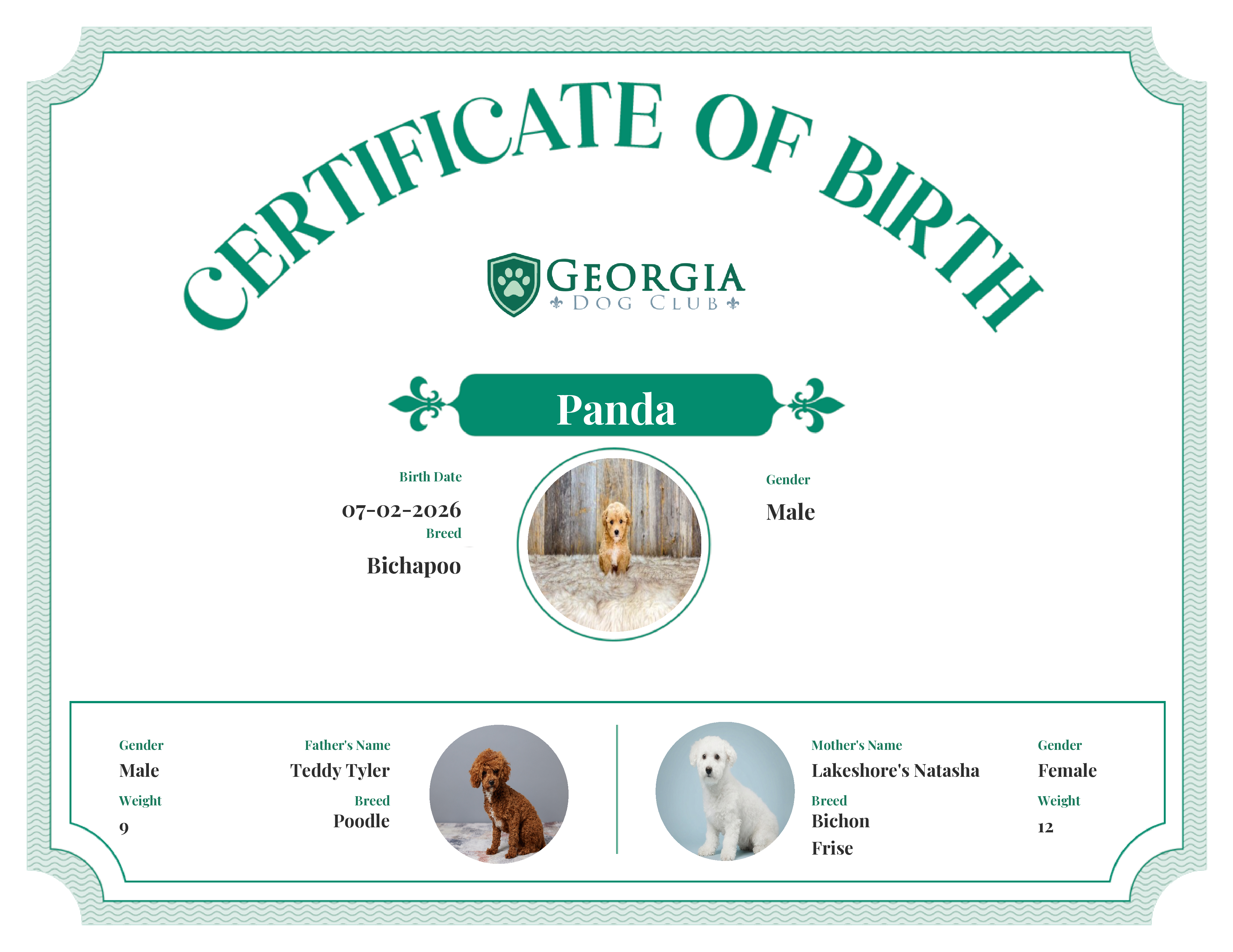 Panda's Birth Certificate
