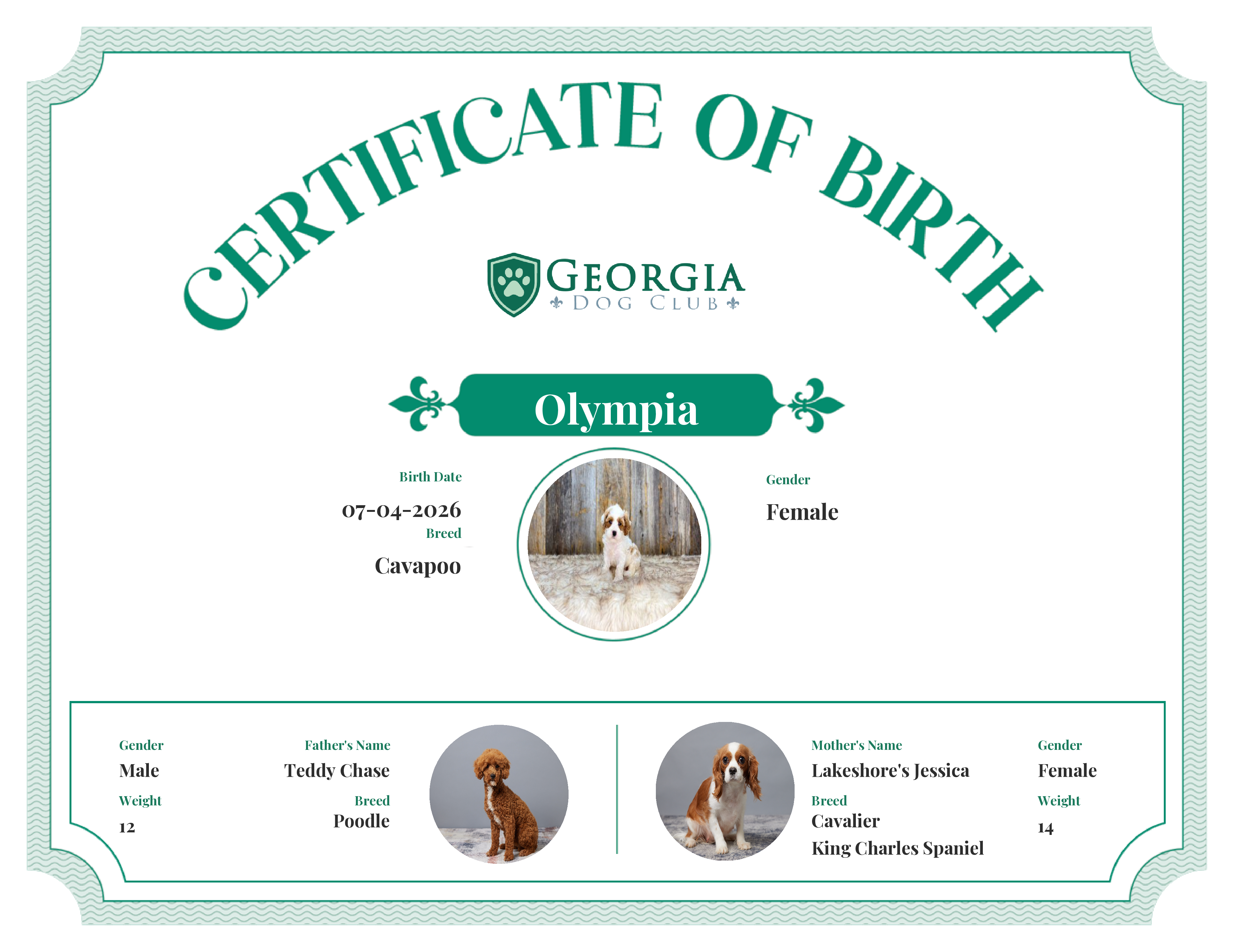 Olympia's Birth Certificate