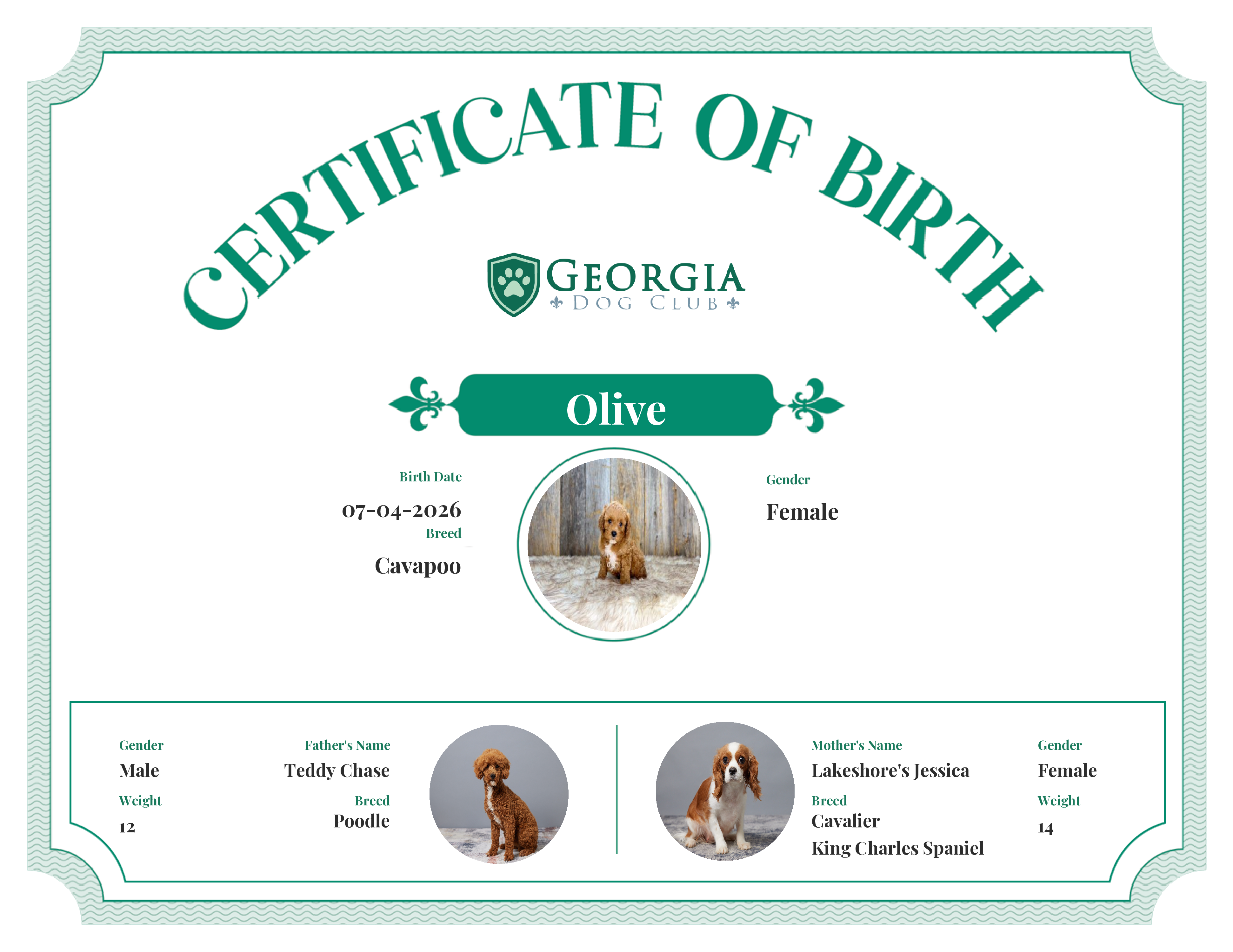 Olive's Birth Certificate