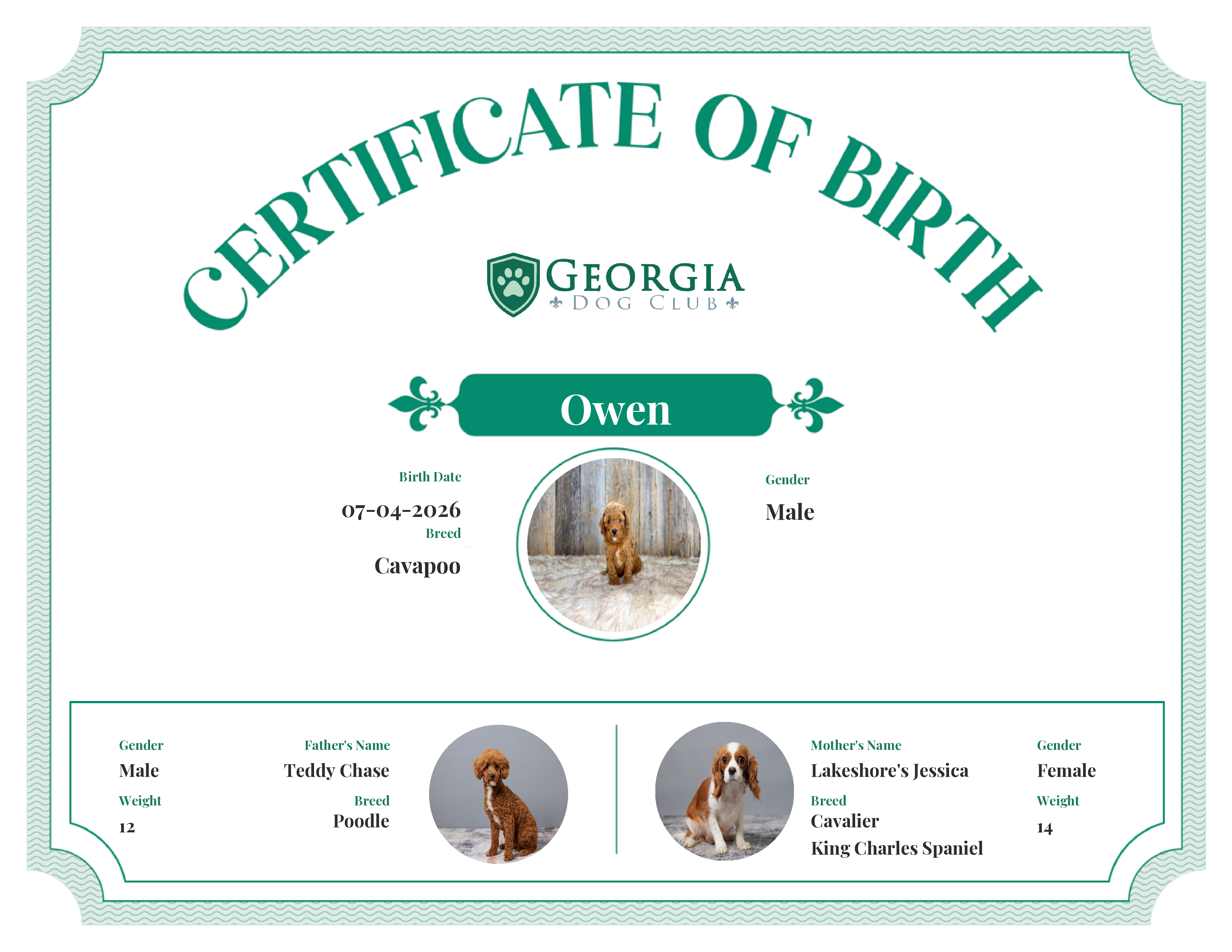 Owen's Birth Certificate