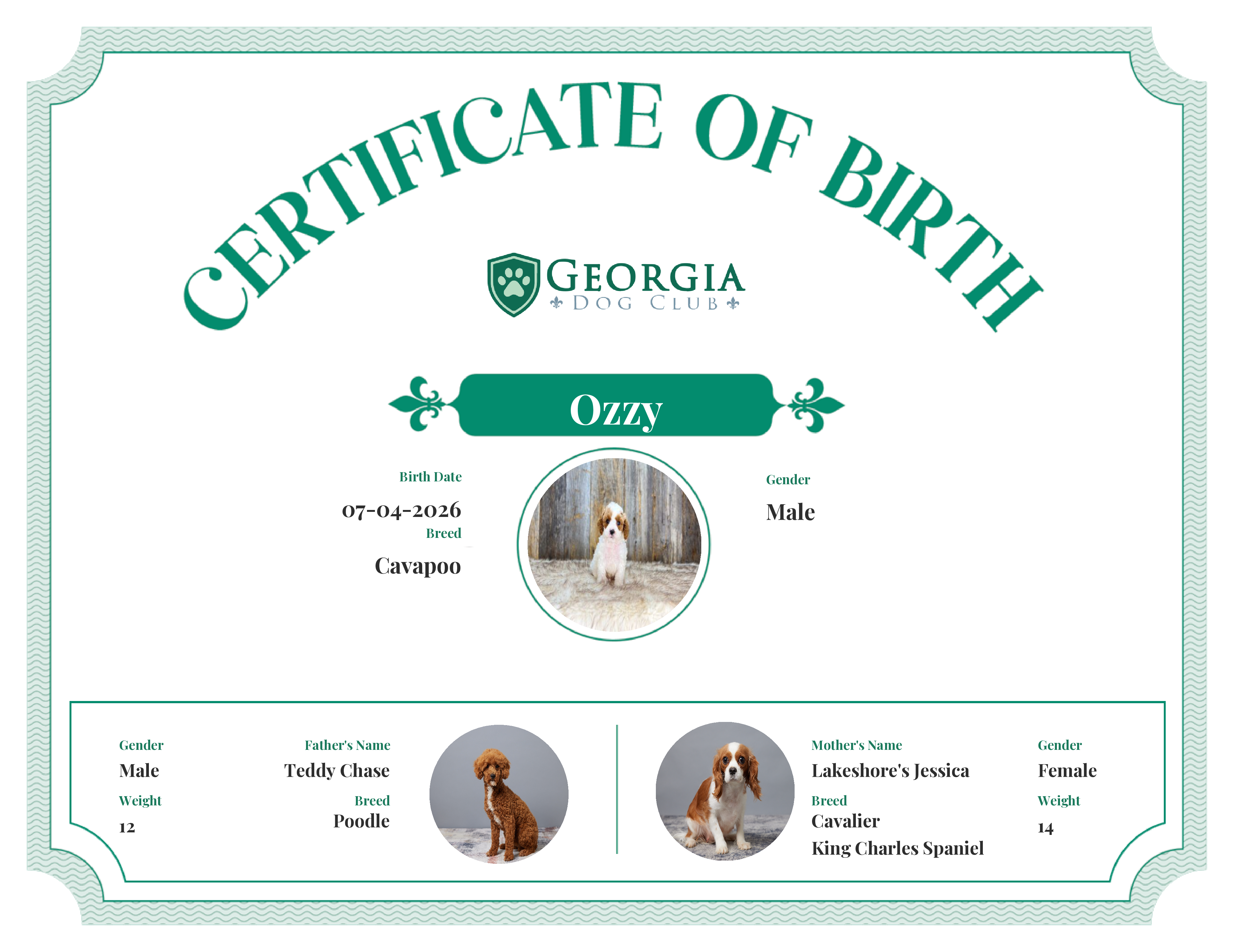 Ozzy's Birth Certificate