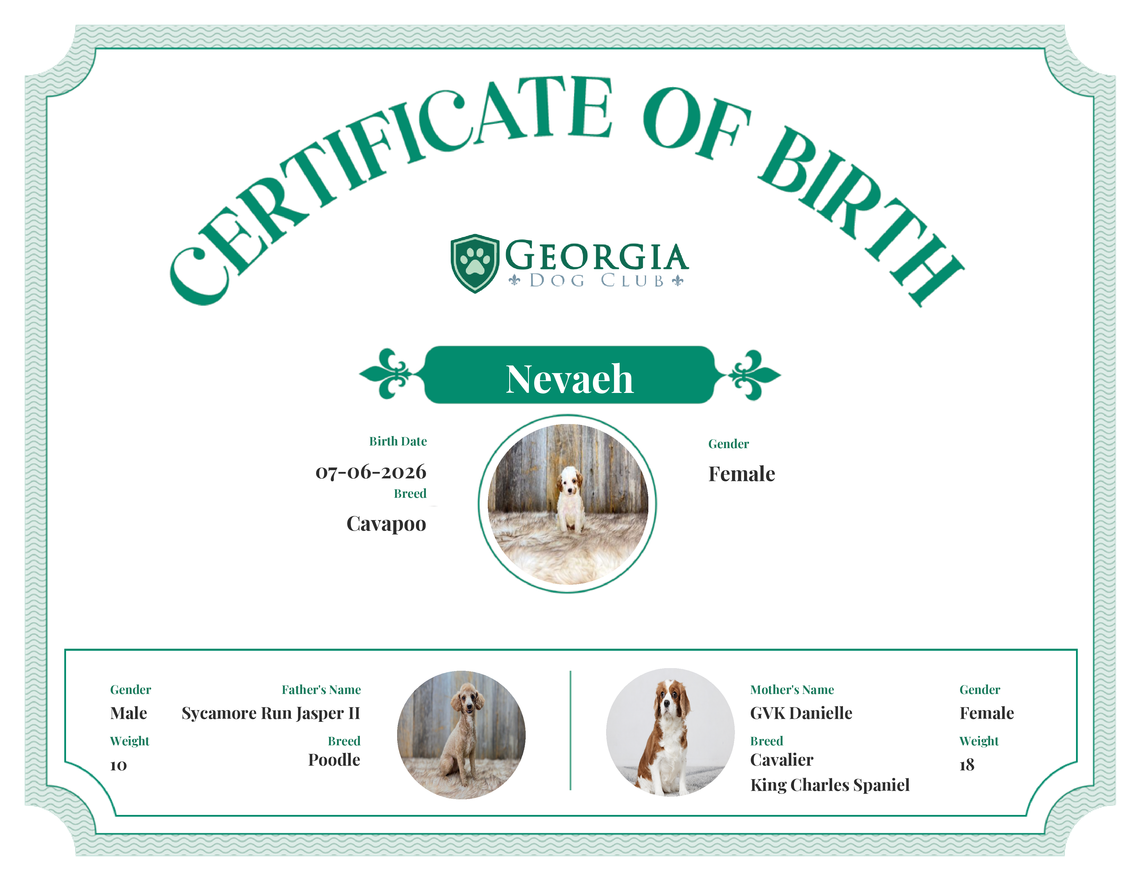 Nevaeh's Birth Certificate
