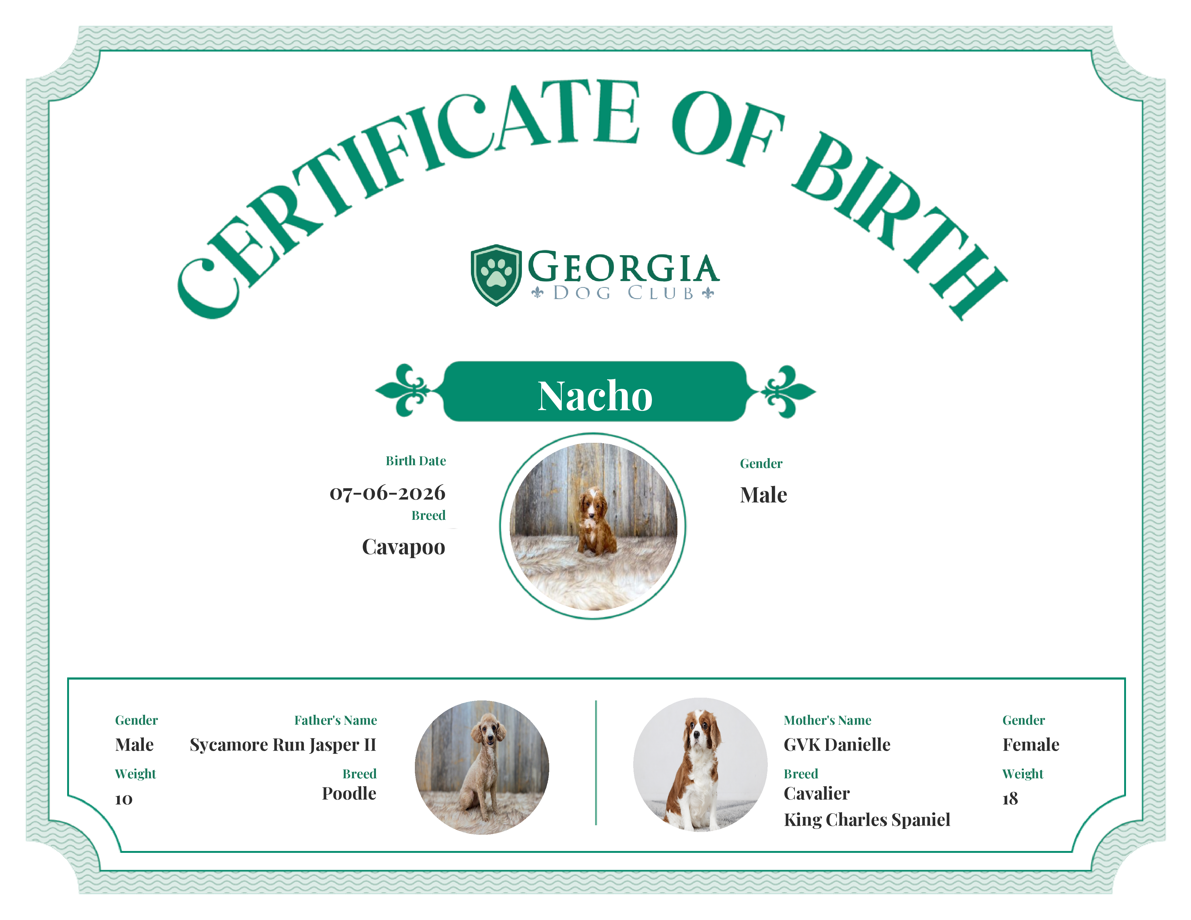 Nacho's Birth Certificate