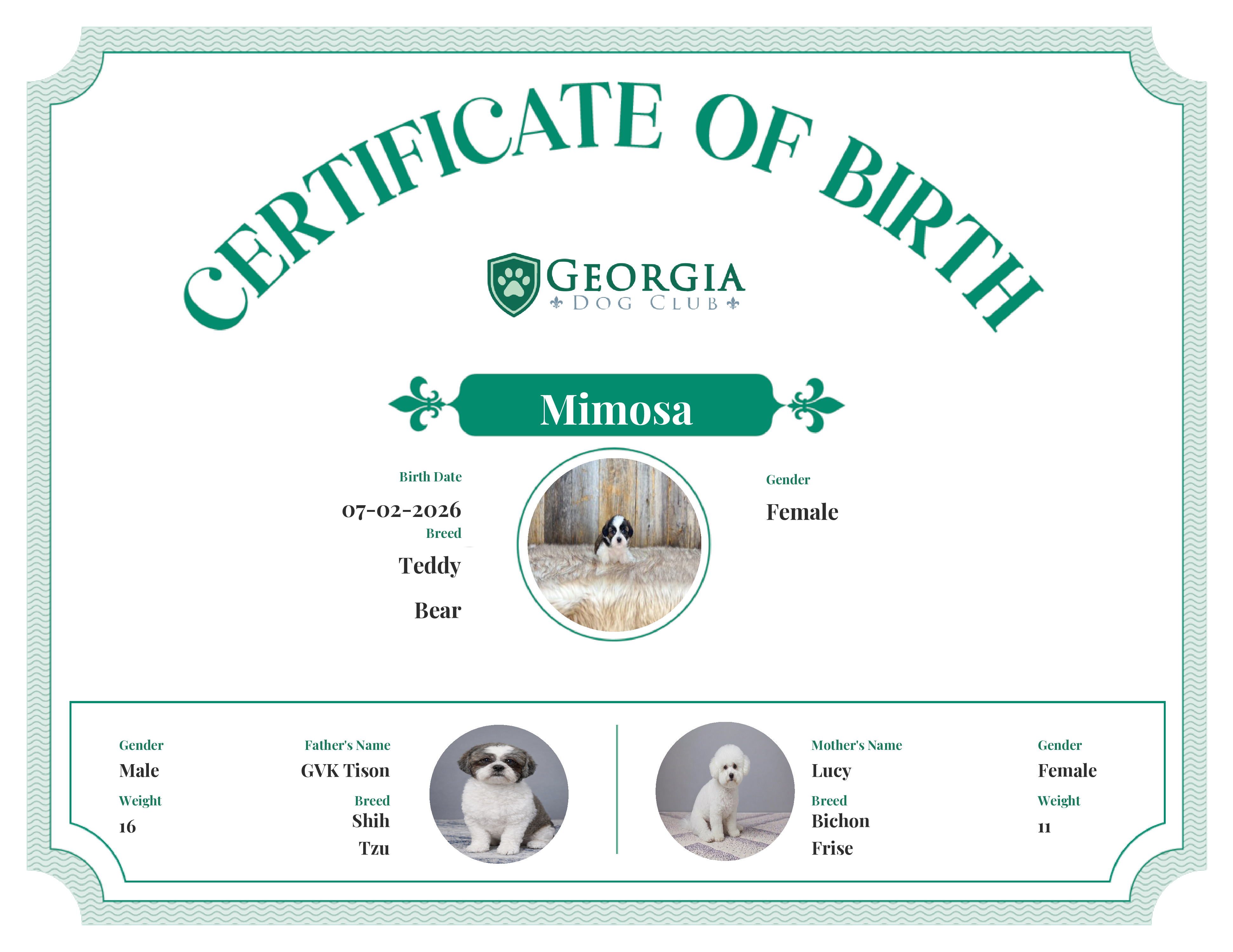 Mimosa's Birth Certificate