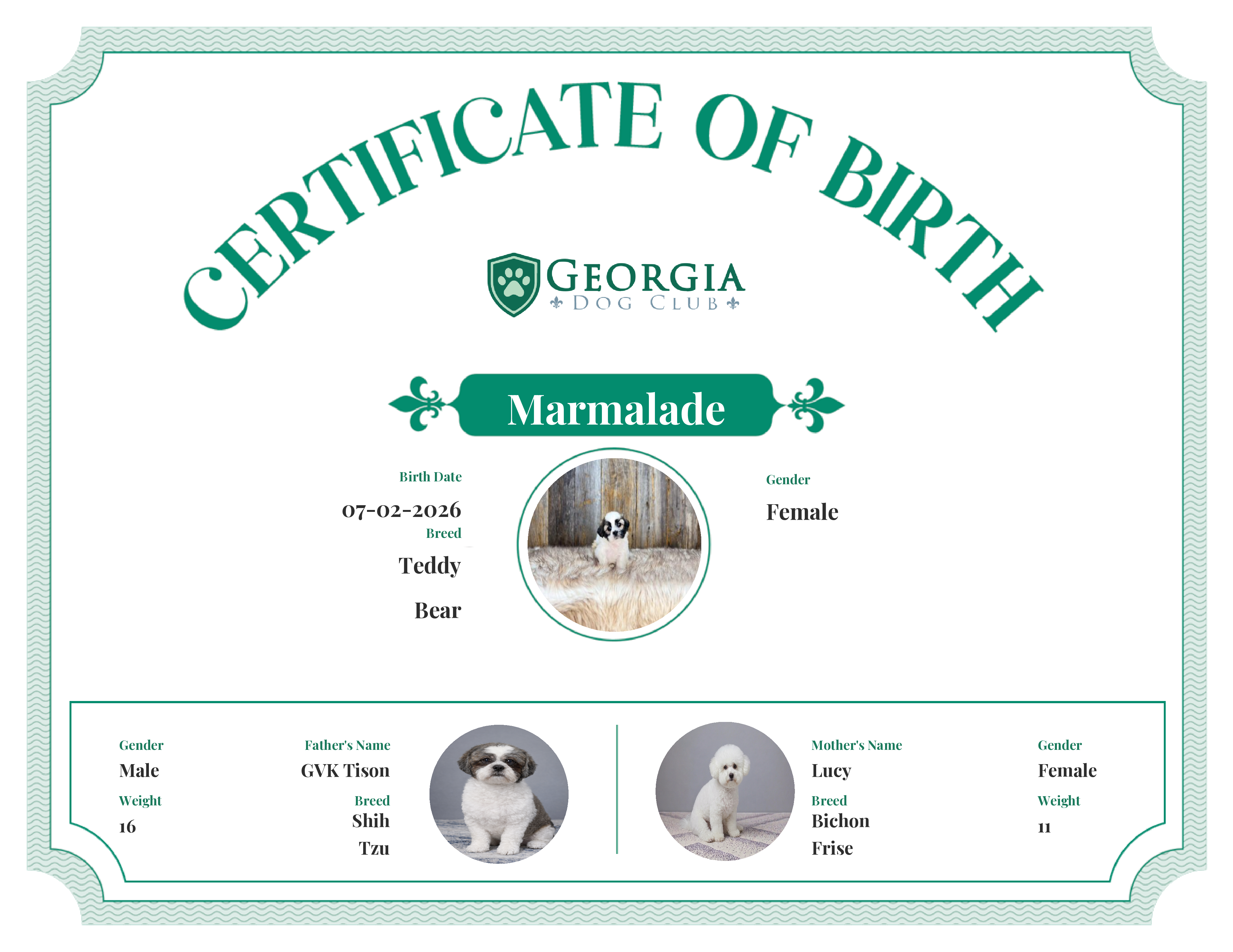 Marmalade's Birth Certificate