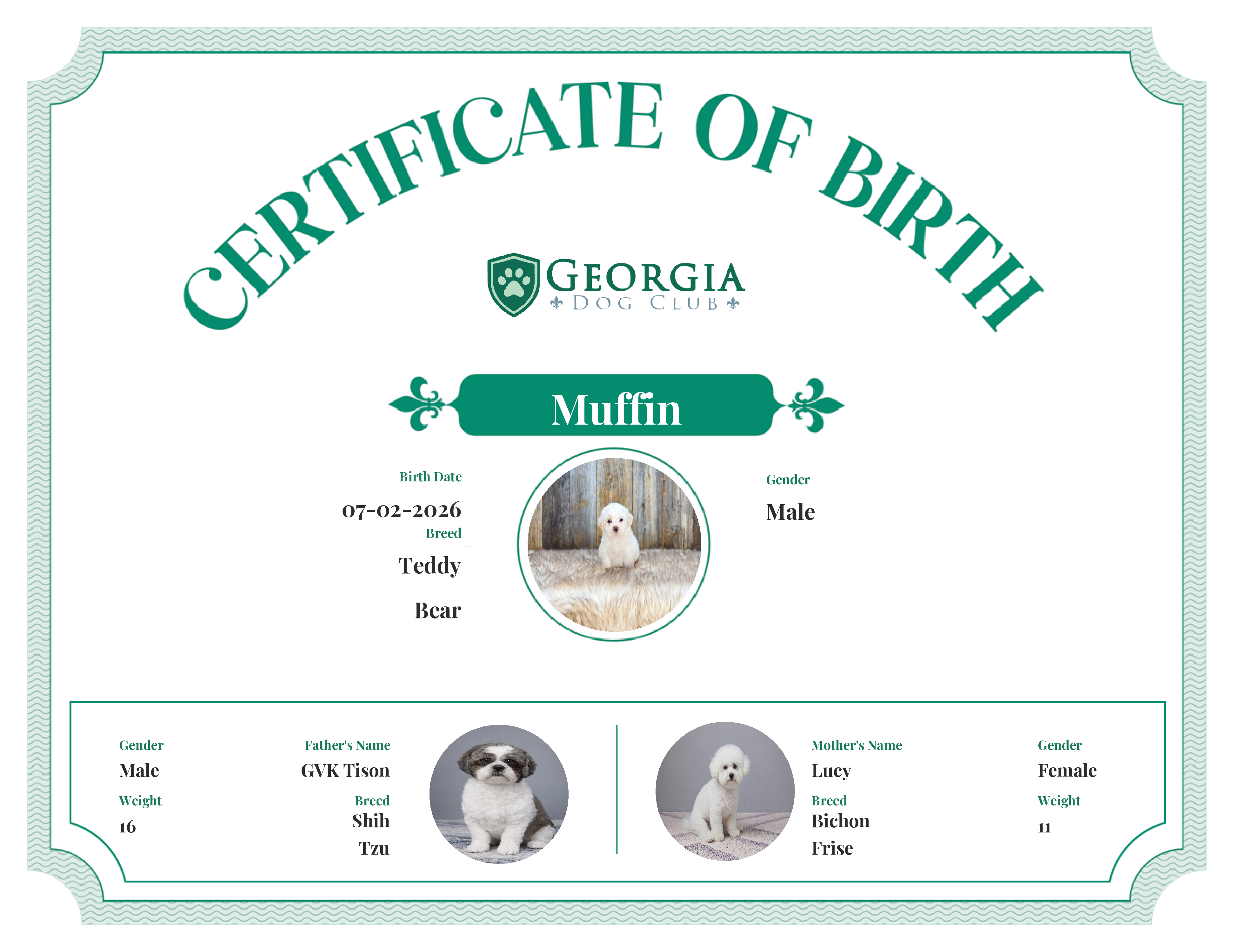 Muffin's Birth Certificate