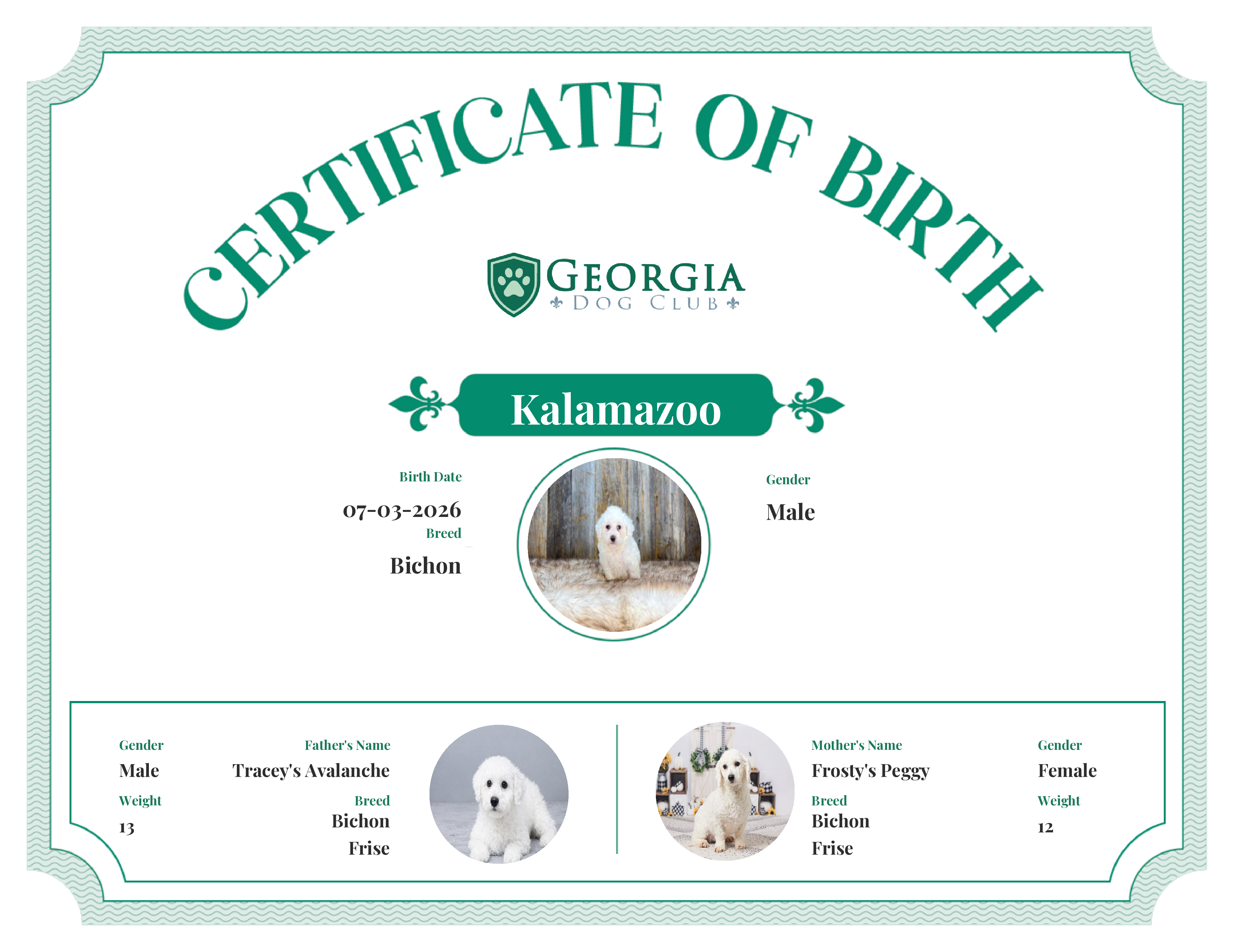 Kalamazoo's Birth Certificate