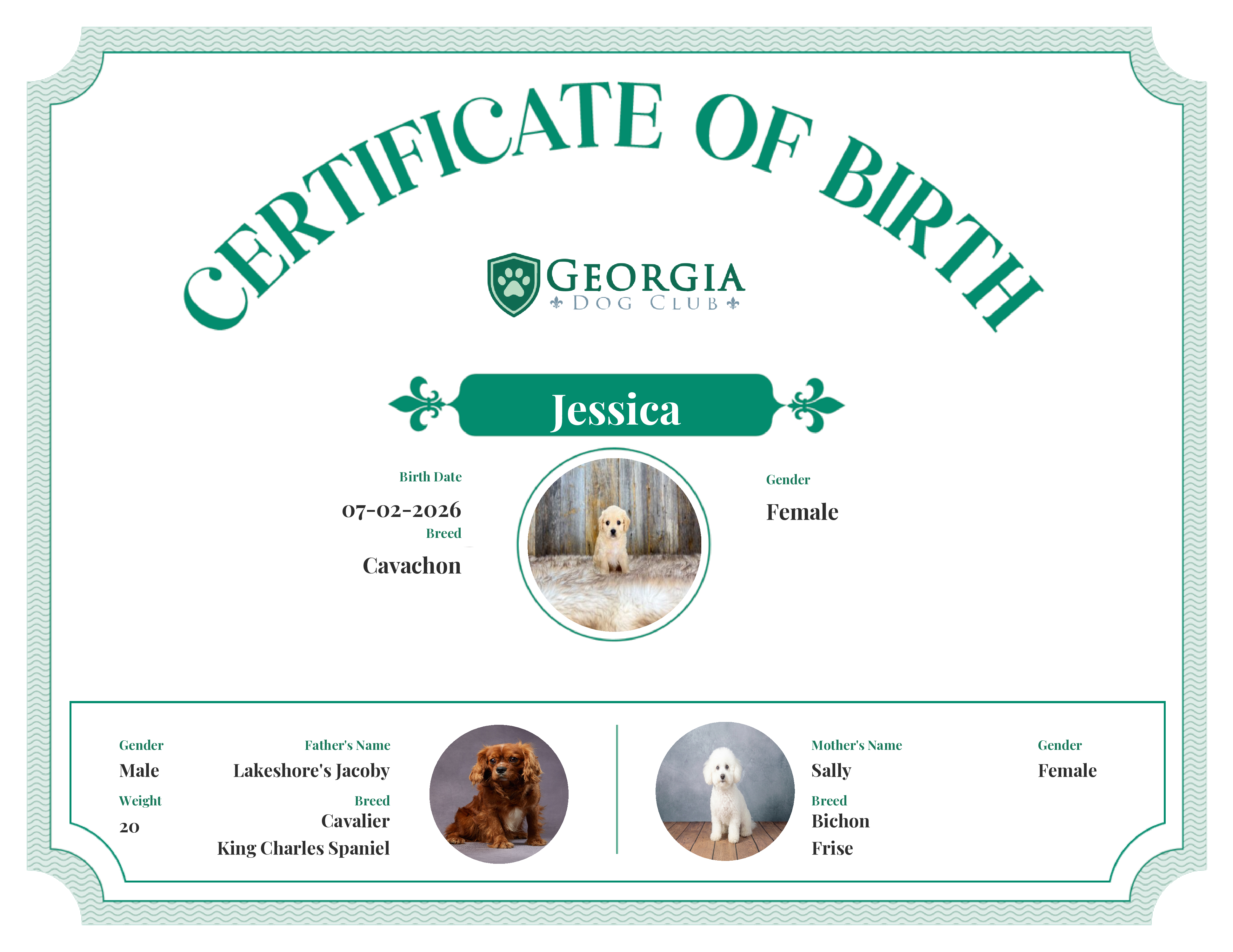 Jessica's Birth Certificate