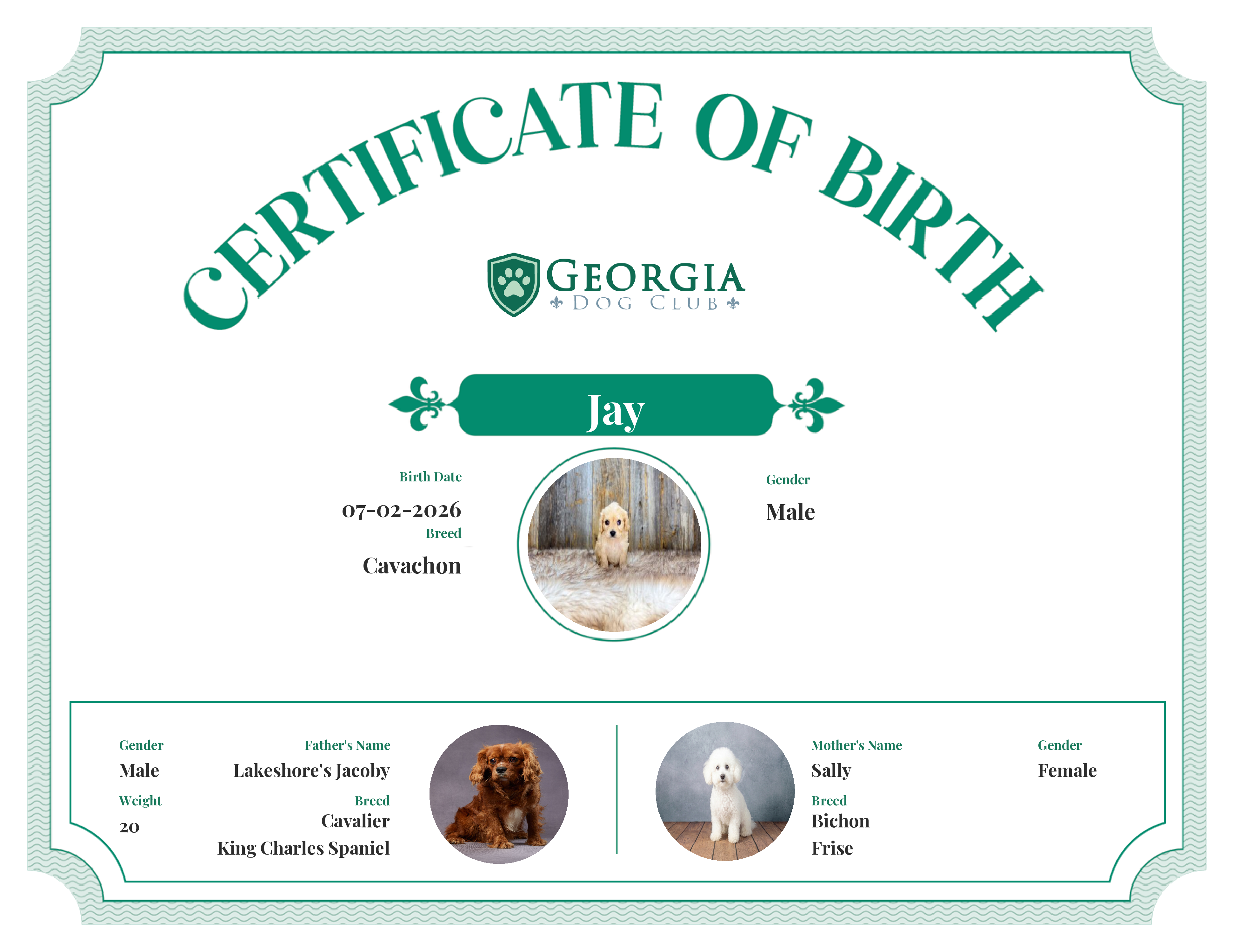 Jay's Birth Certificate