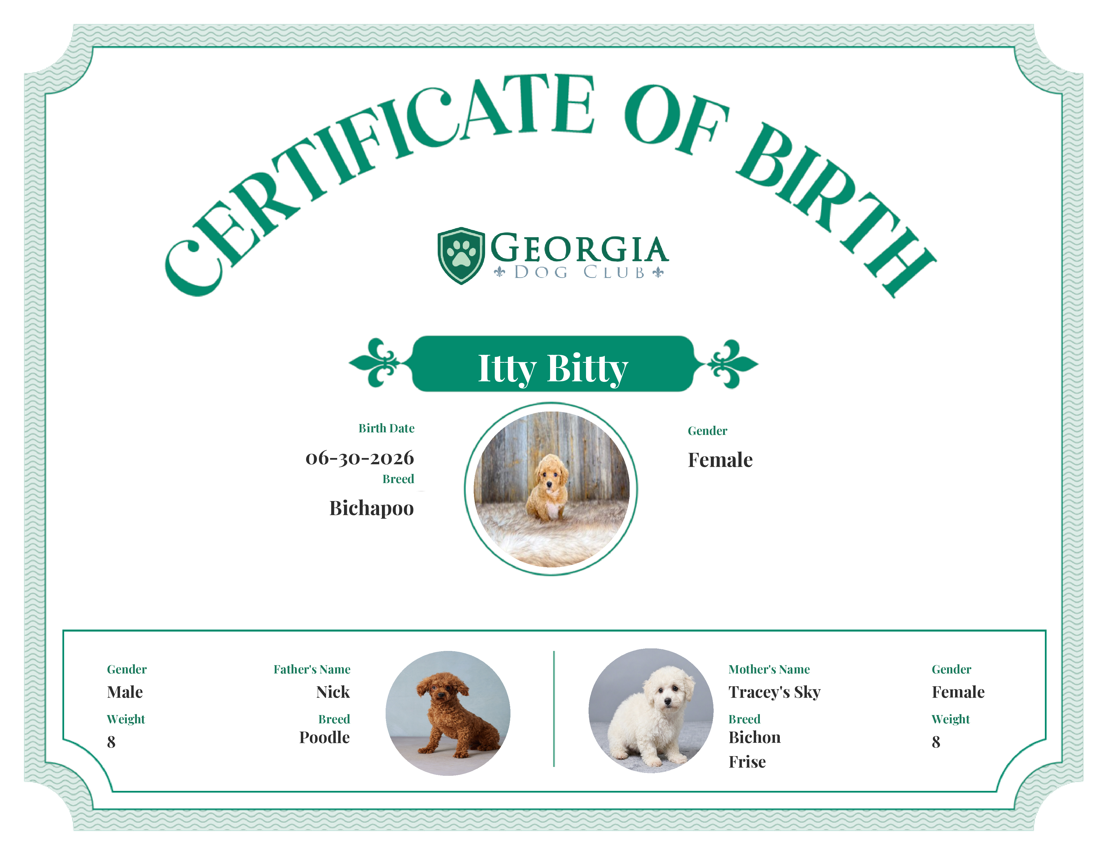 Itty Bitty's Birth Certificate