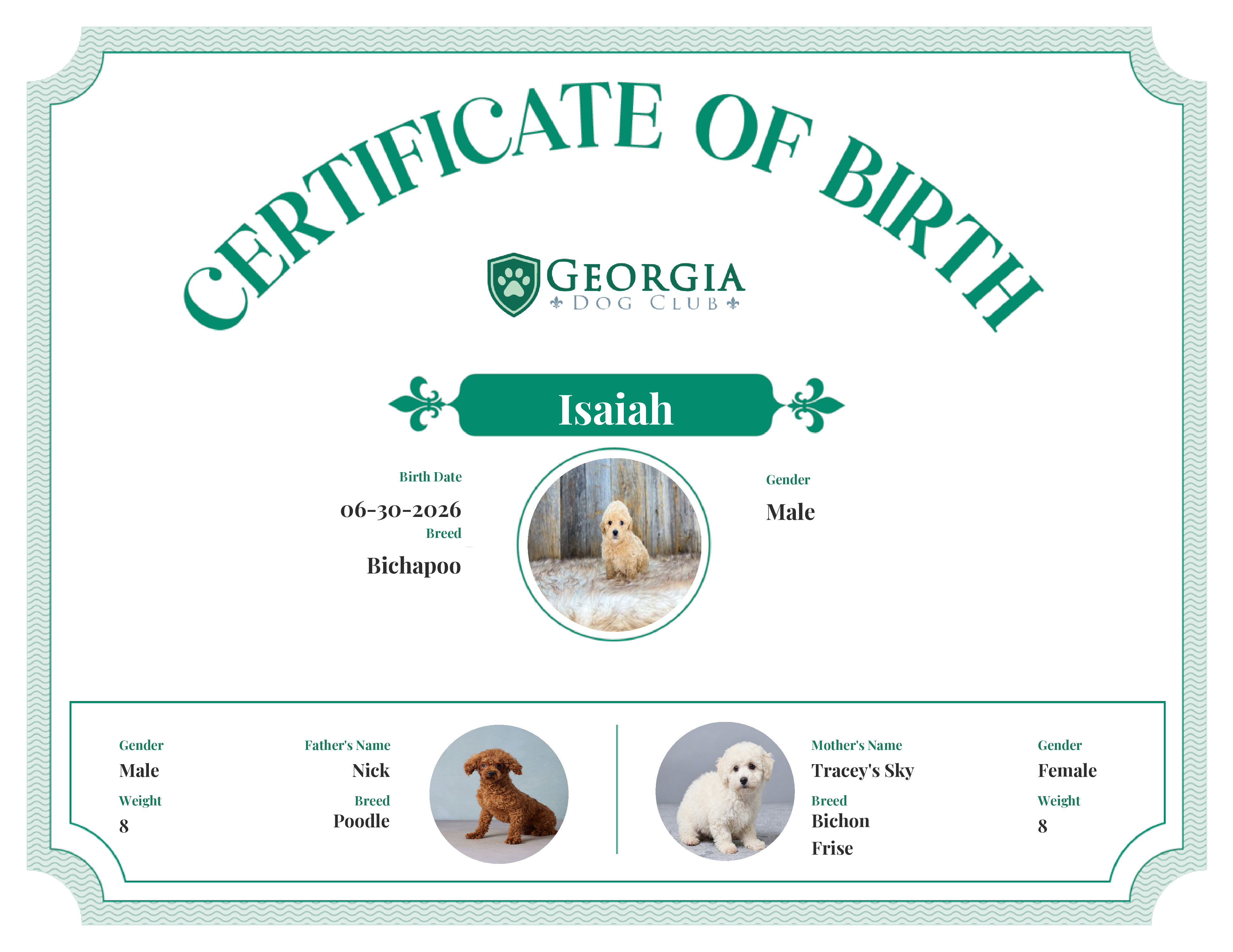 Isaiah's Birth Certificate