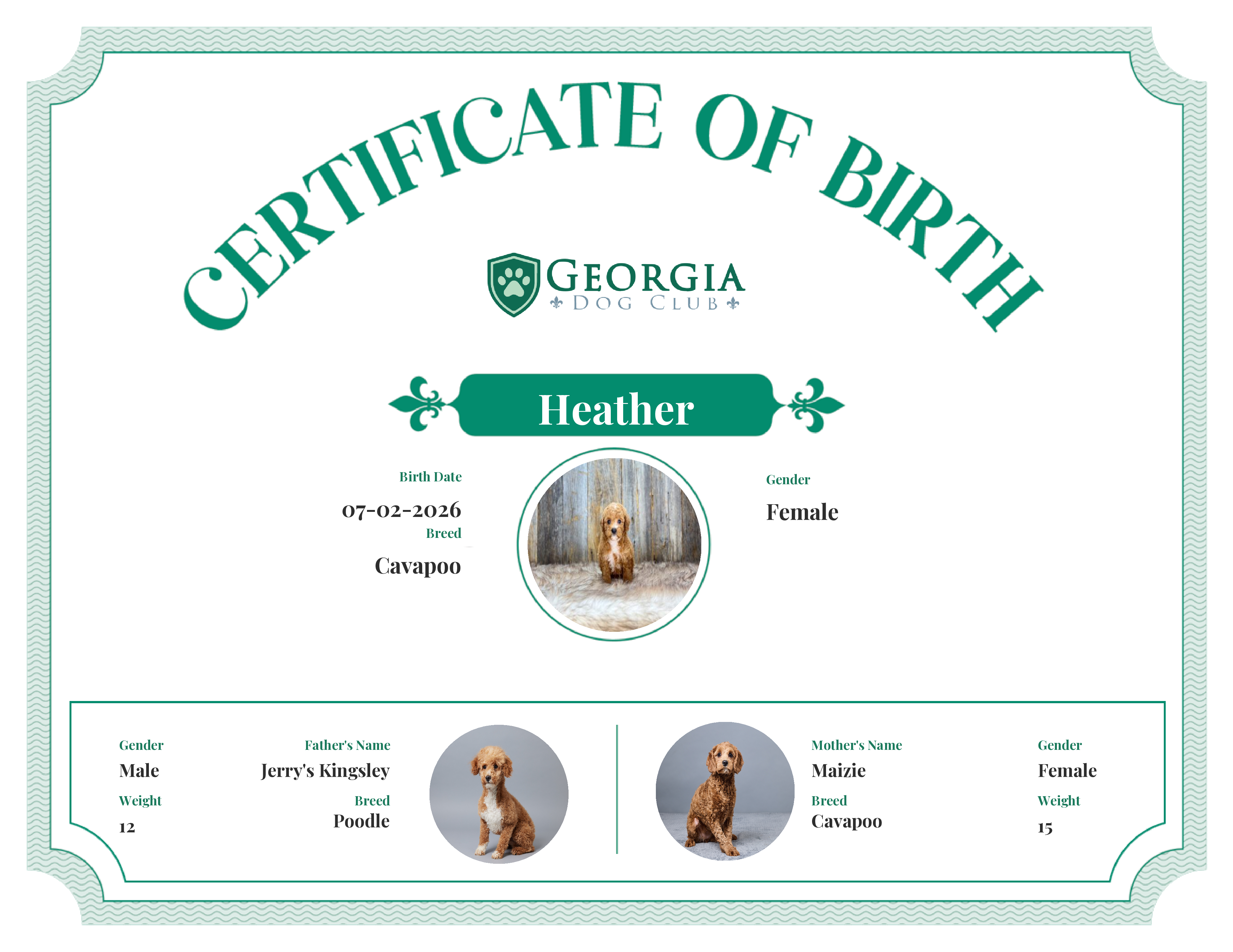 Heather's Birth Certificate
