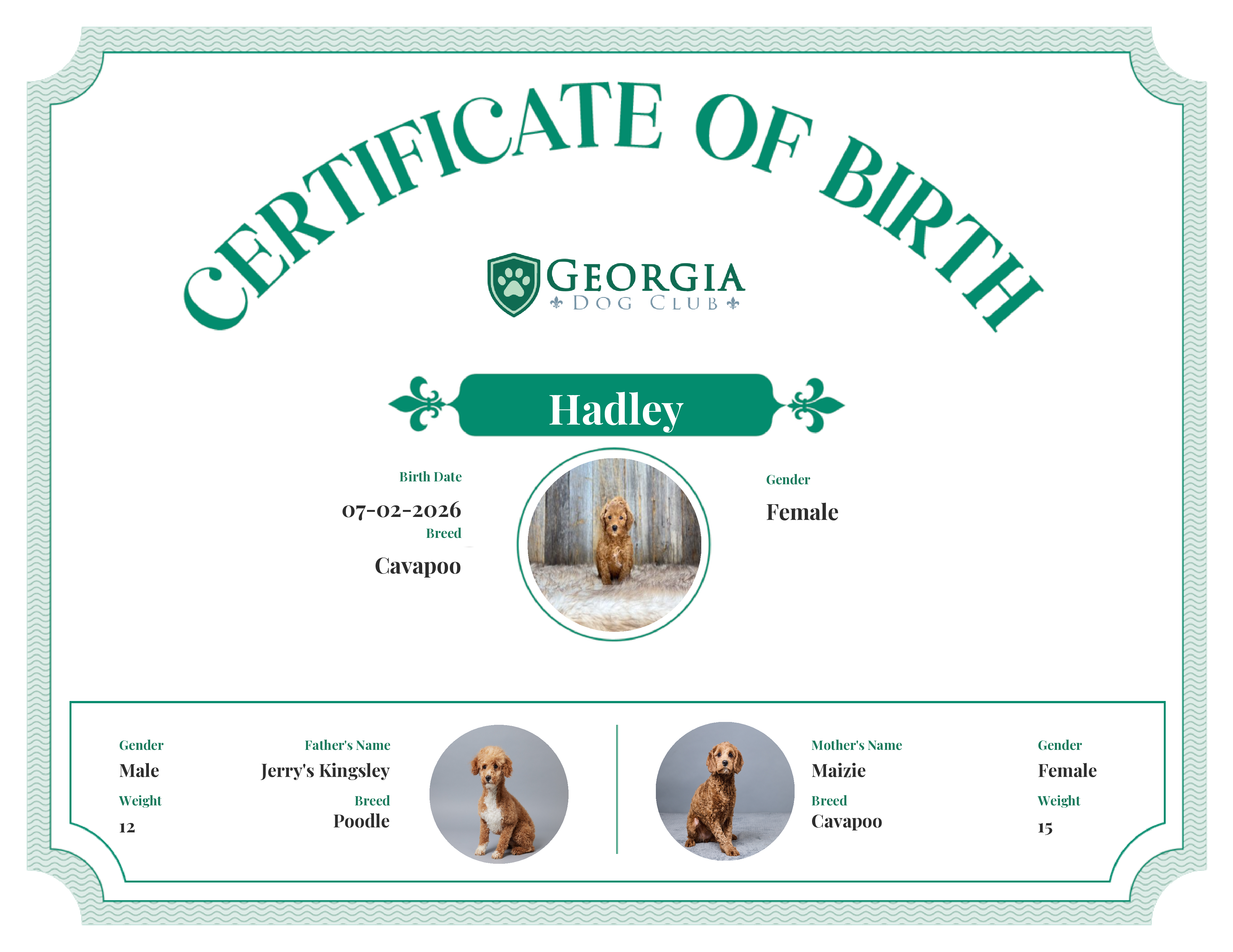 Hadley's Birth Certificate