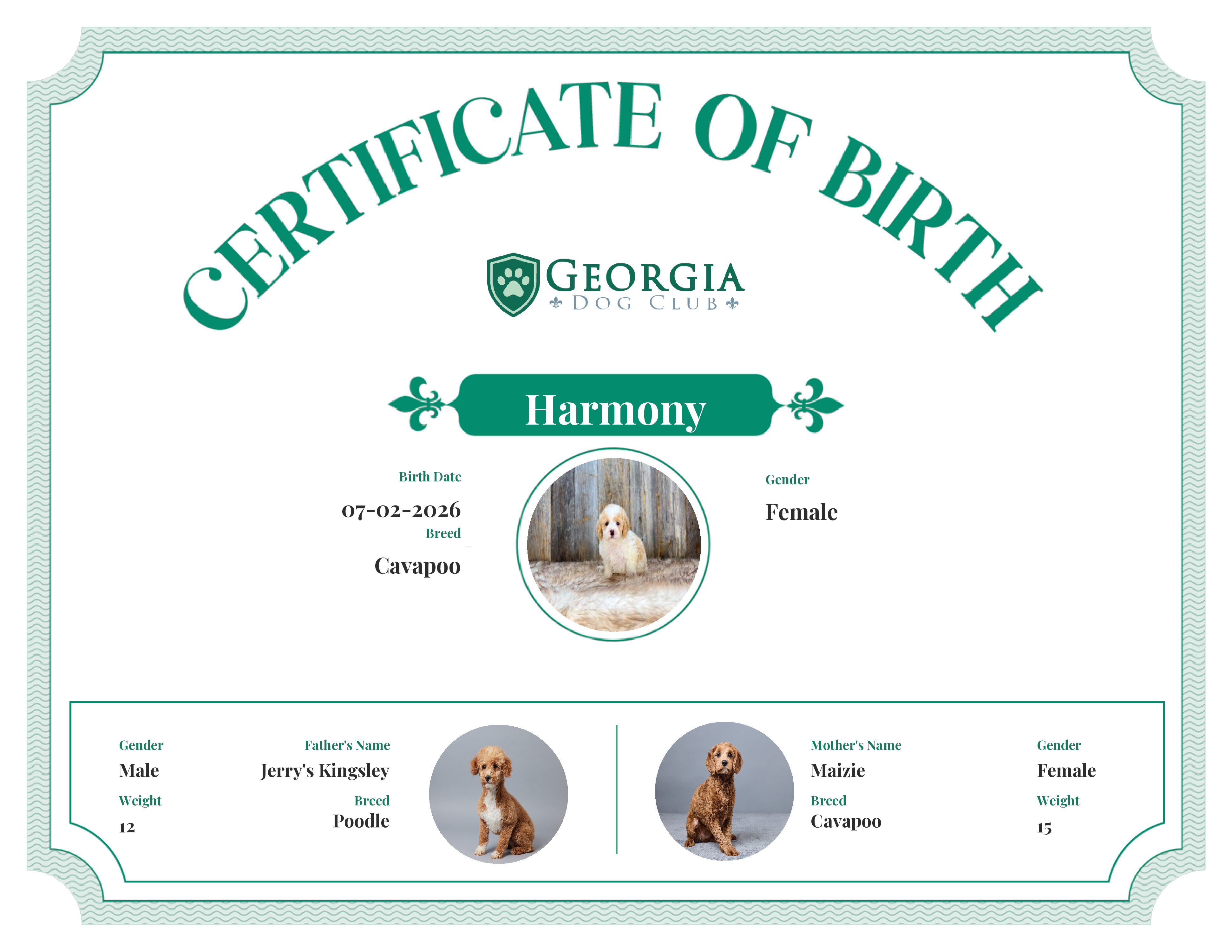 Harmony's Birth Certificate