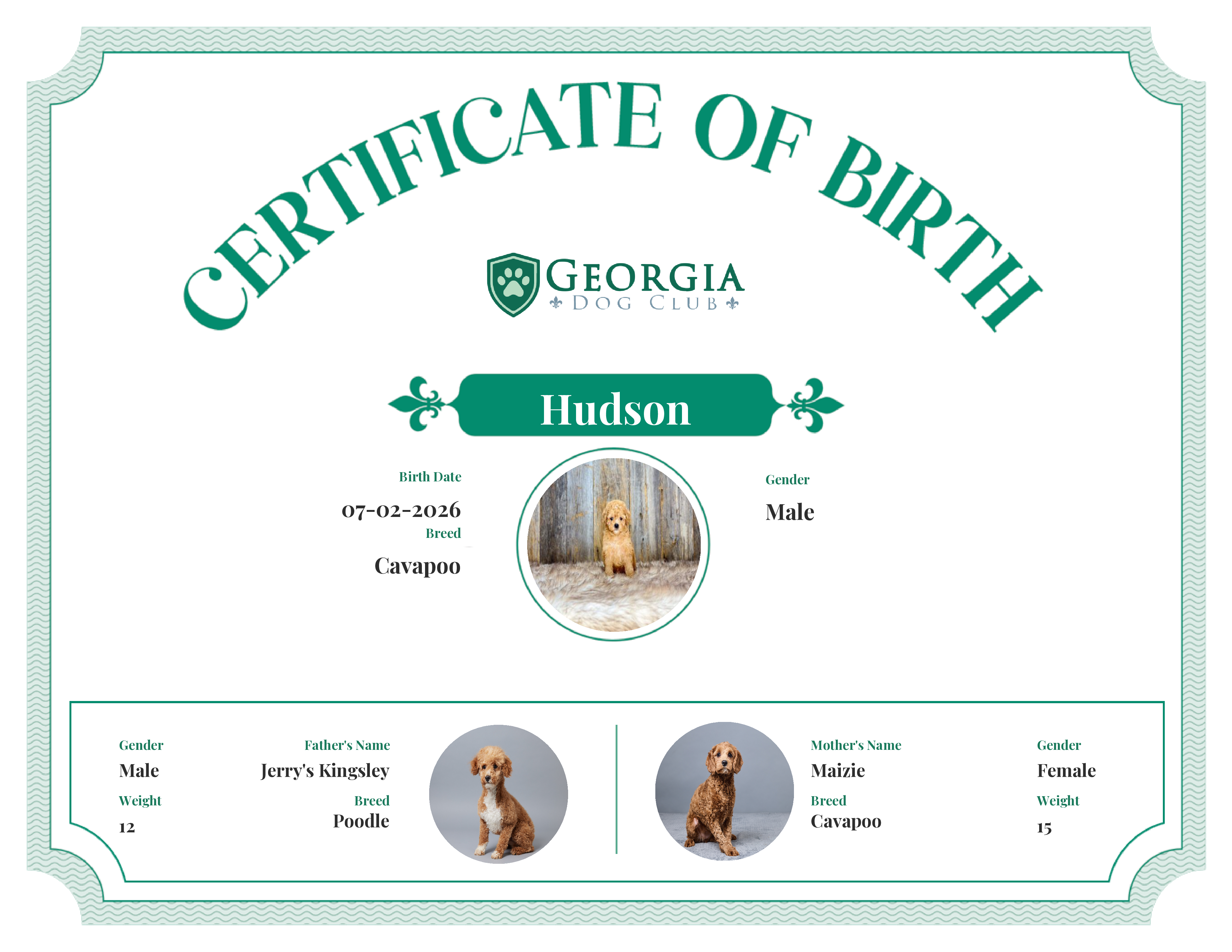 Hudson's Birth Certificate