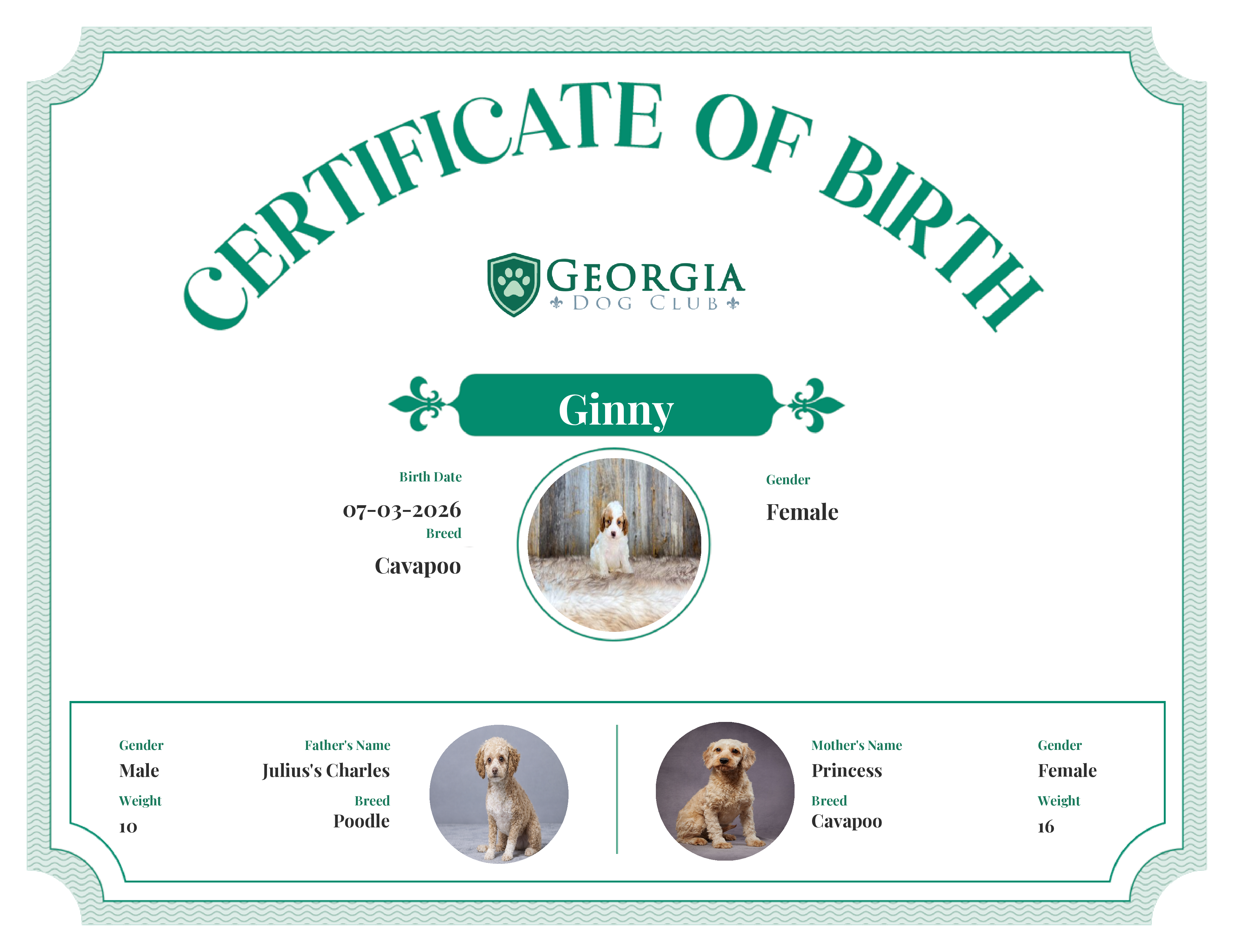Ginny's Birth Certificate