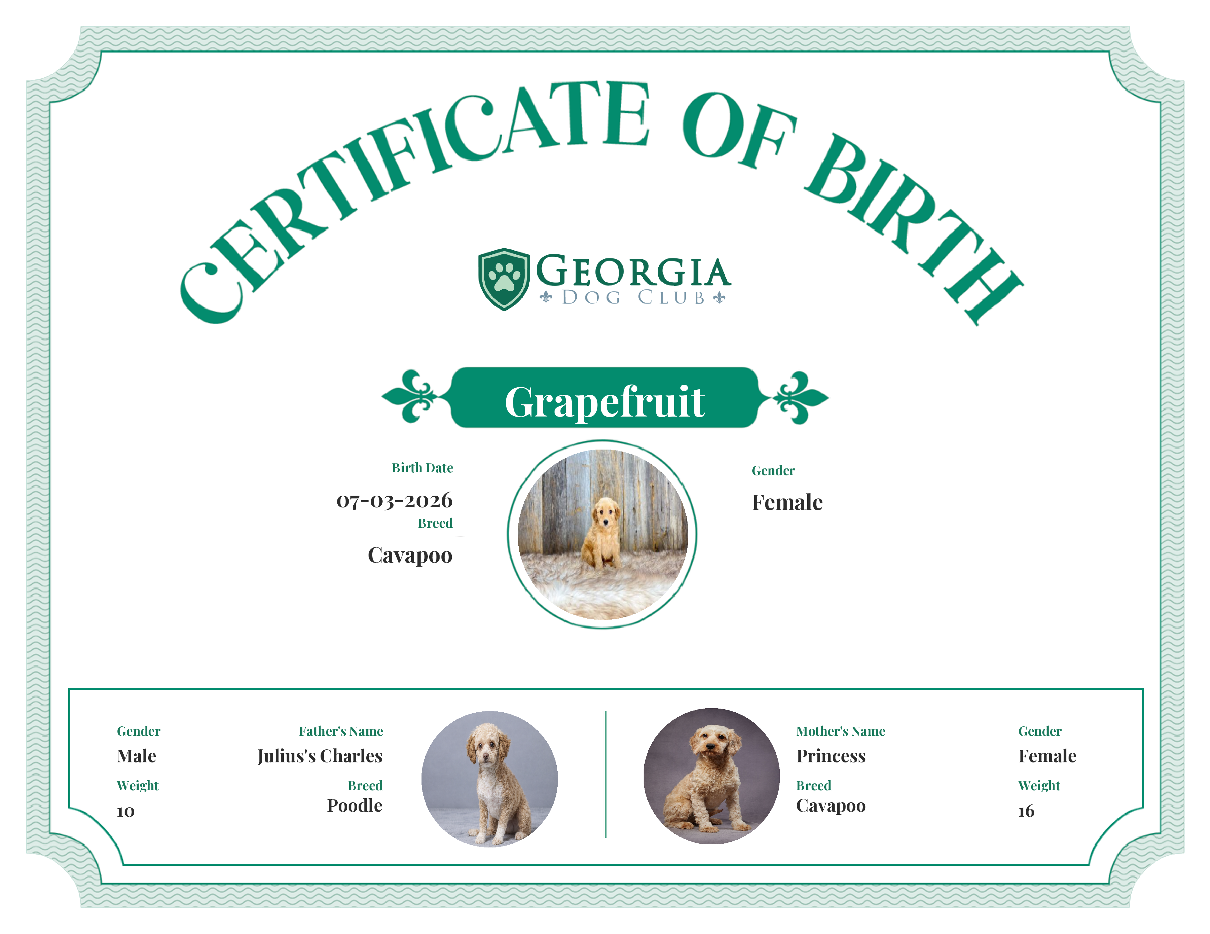 Grapefruit's Birth Certificate
